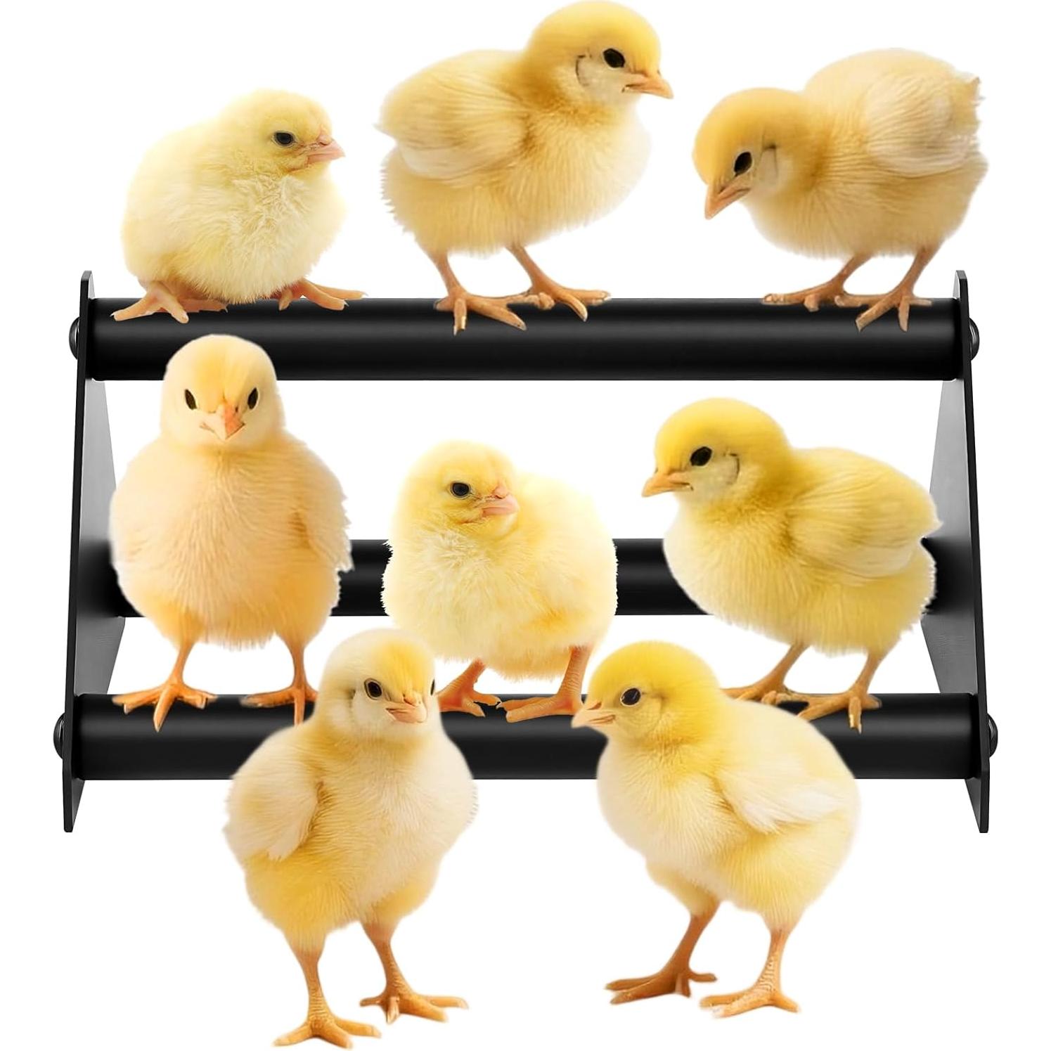 Perch de Pollo Makerfire Pequeño 20.5x17.5cm Acero Inoxidable