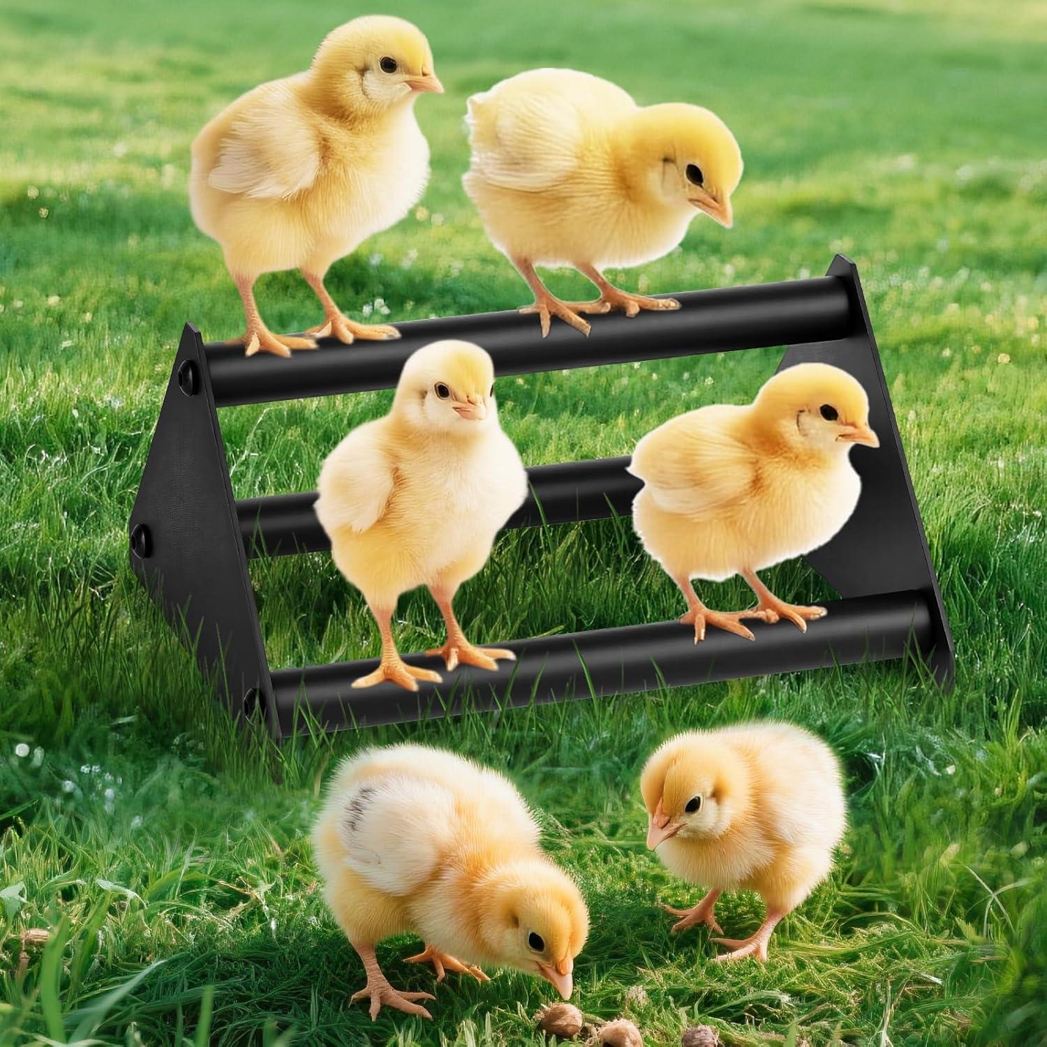 Perch de Pollo Makerfire Pequeño 20.5x17.5cm Acero Inoxidable