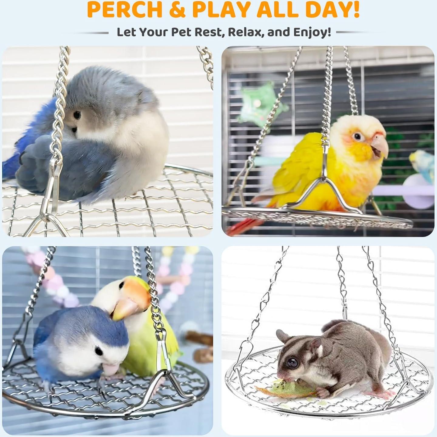 Percha Columpio para Aves Coalinker 25.4 cm Acero Inoxidable