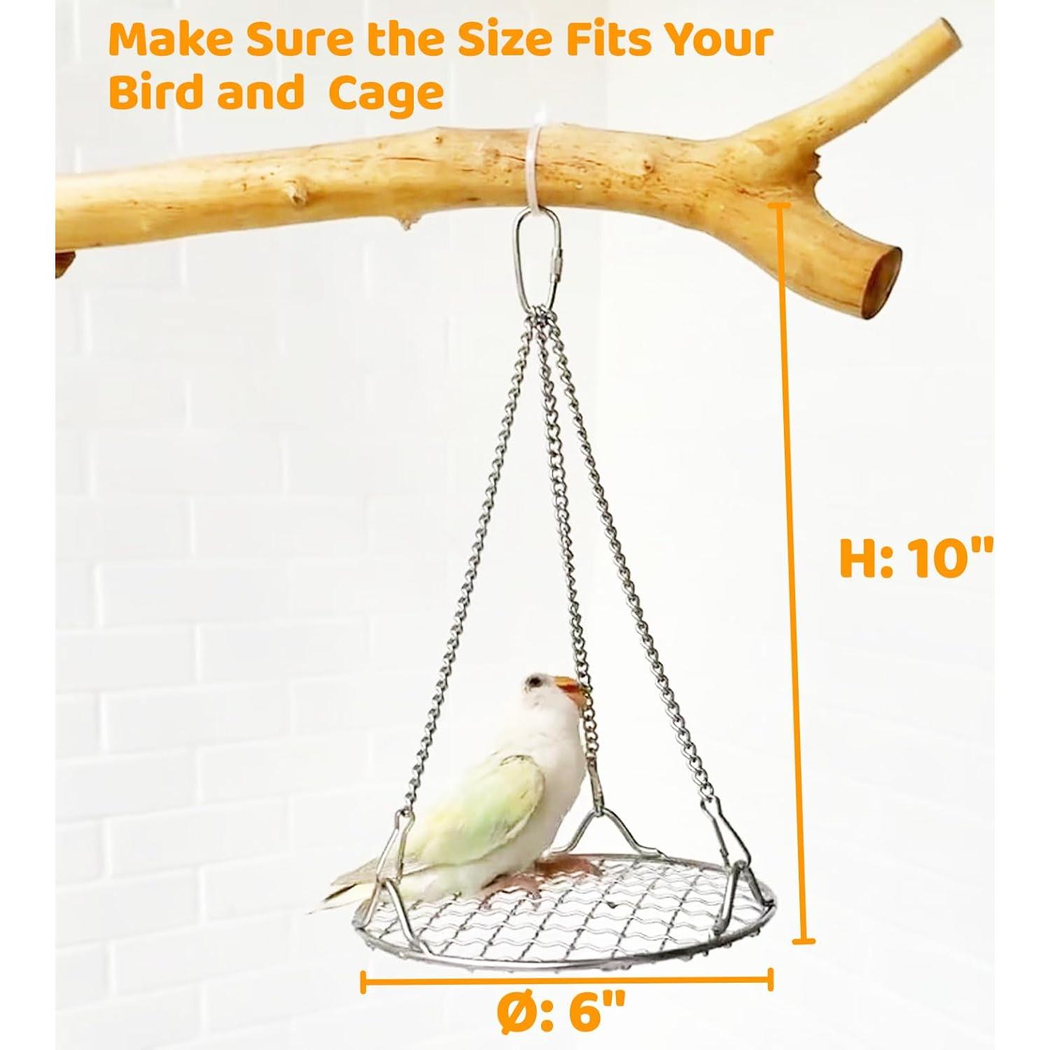 Percha Columpio para Aves Coalinker 25.4 cm Acero Inoxidable