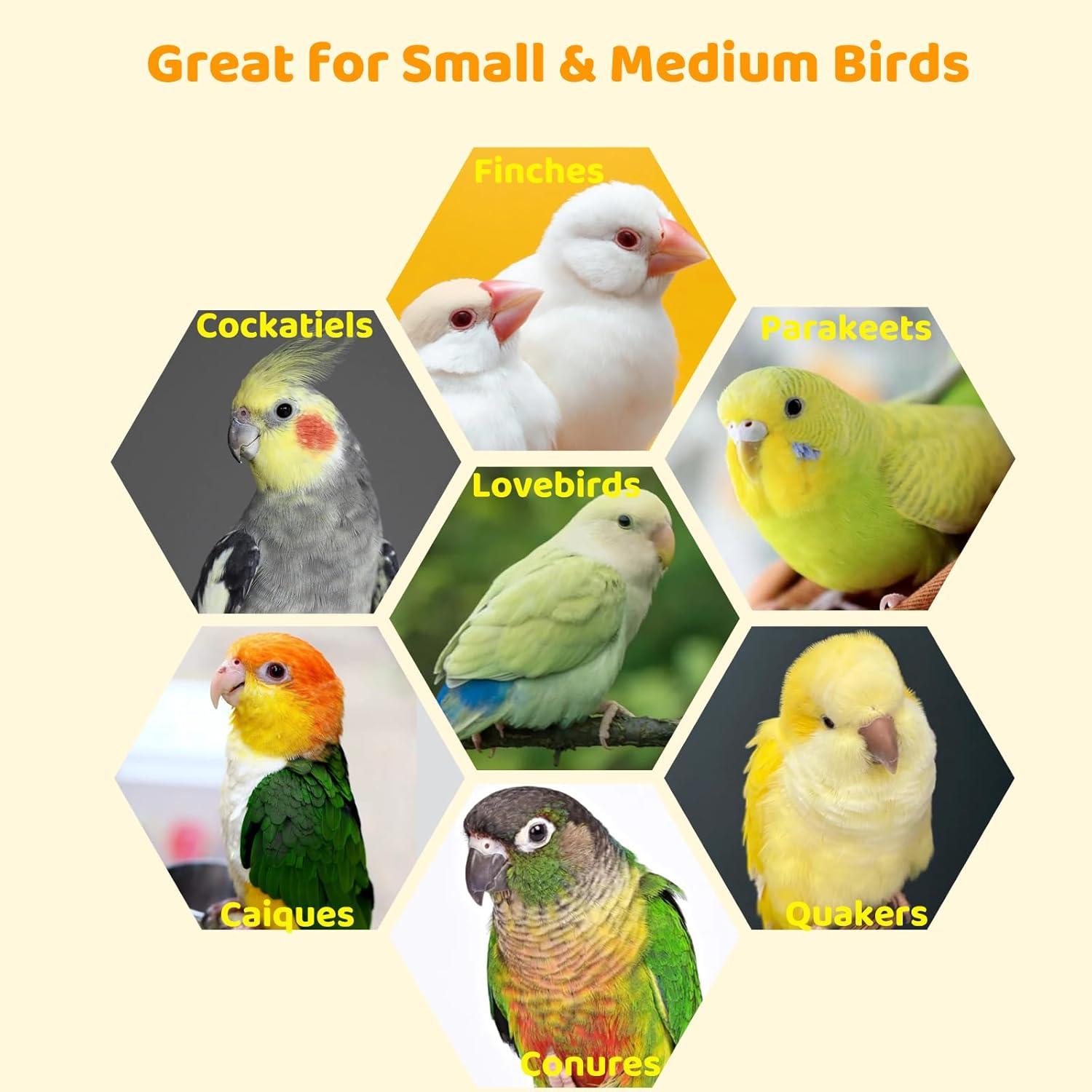 Percha Columpio para Aves Coalinker 25.4 cm Acero Inoxidable