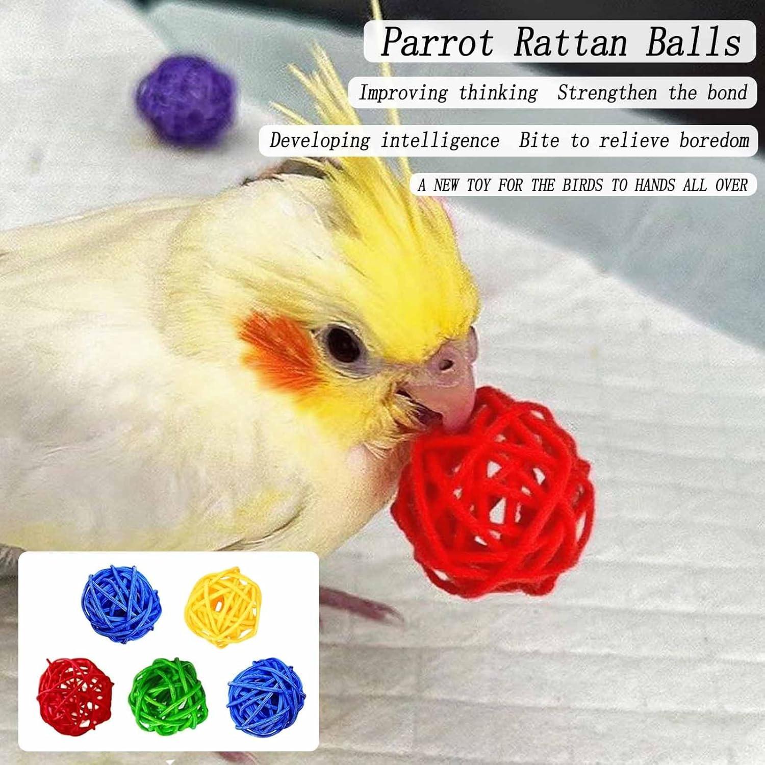 Soportes de Perchas de Madera Natural para Aves 13 PCS