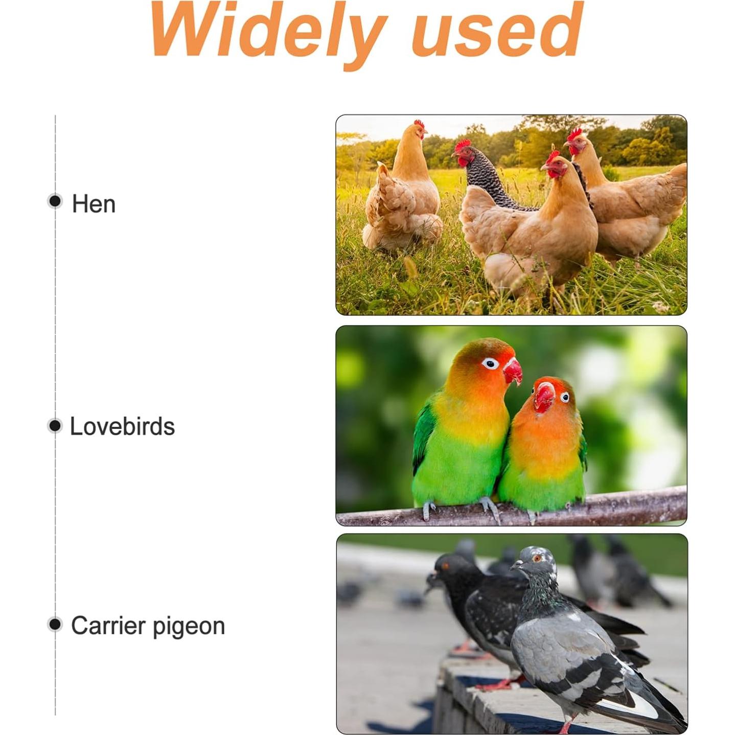 Escalera de Percha de Madera Balacoo para Aves 42.9x34cm