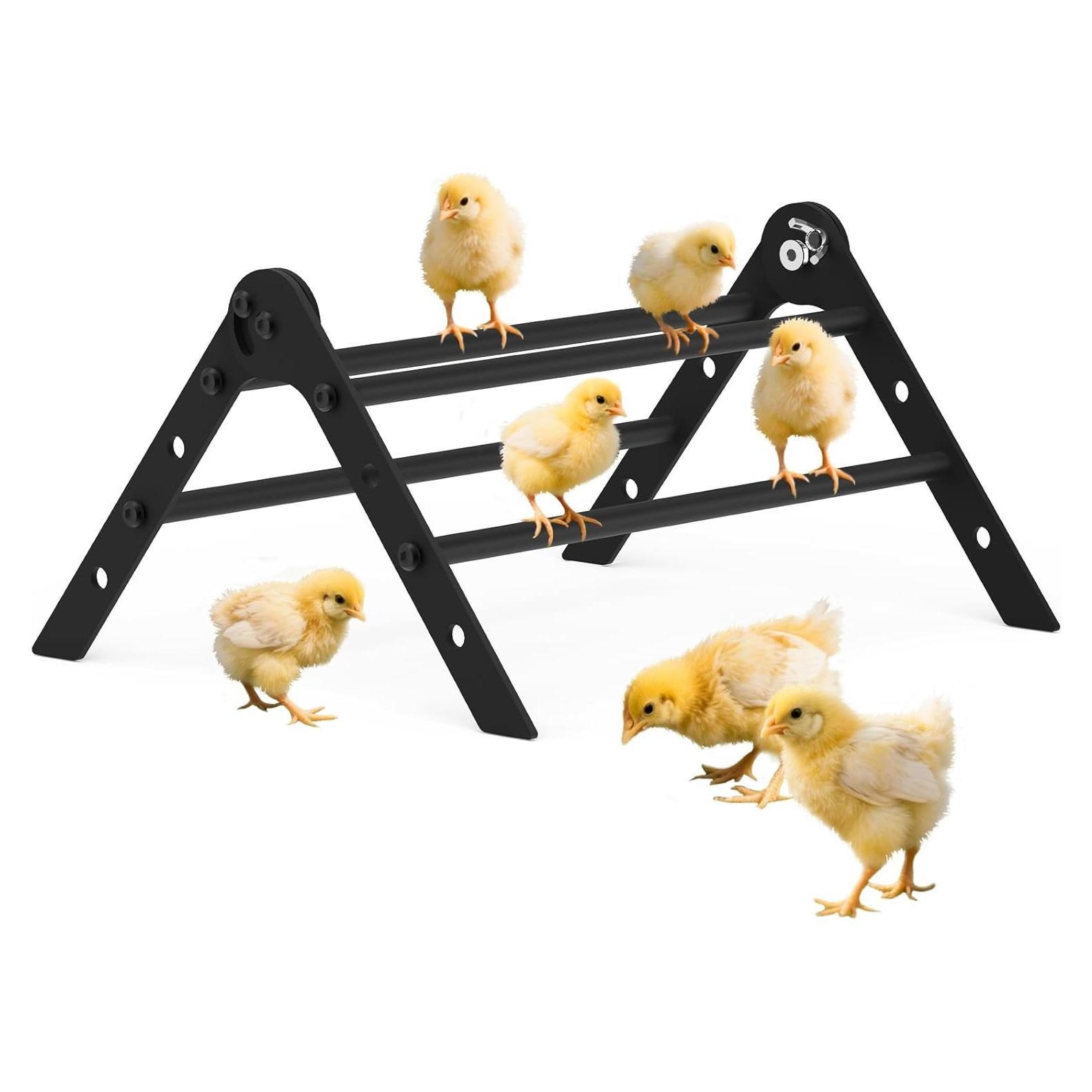 Perchero Ajustable de Metal DABULANG para Gallinas y Aves