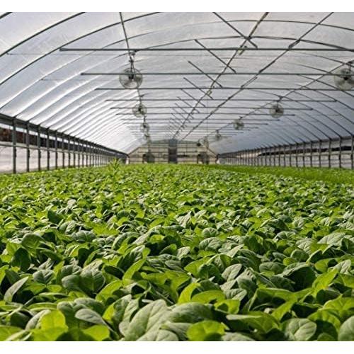 Red de Insectos para Jardín Garden Tailor 1.22m x 3.05m HDPE