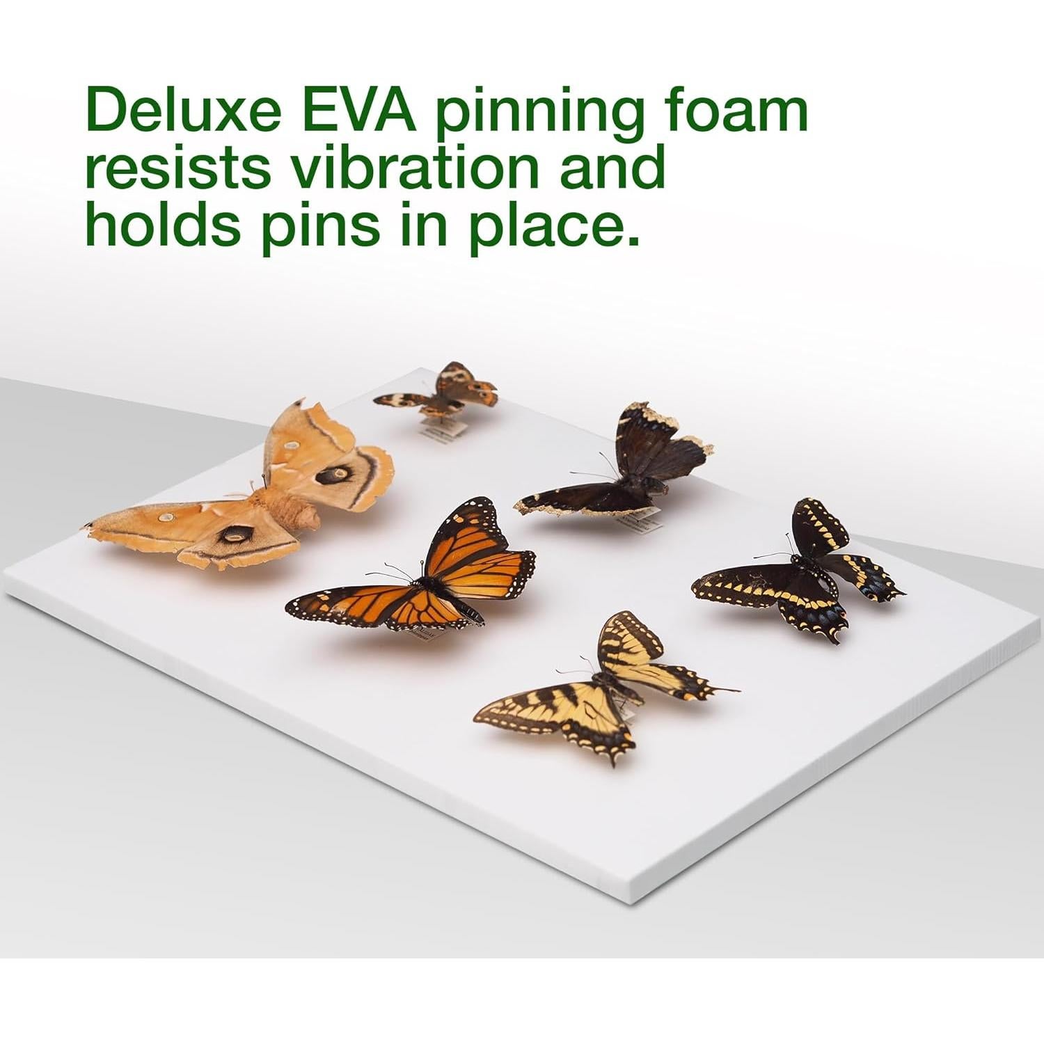 Caja de Clavado de Insectos Making It Work 33x23x6.4 cm