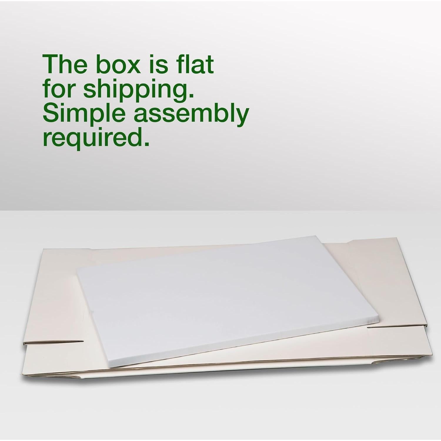 Caja de Clavado de Insectos Making It Work 33x23x6.4 cm