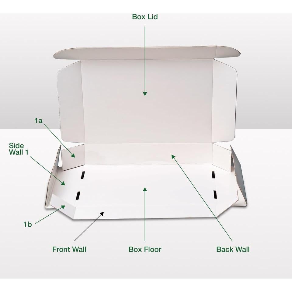 Caja de Clavado de Insectos Making It Work 33x23x6.4 cm