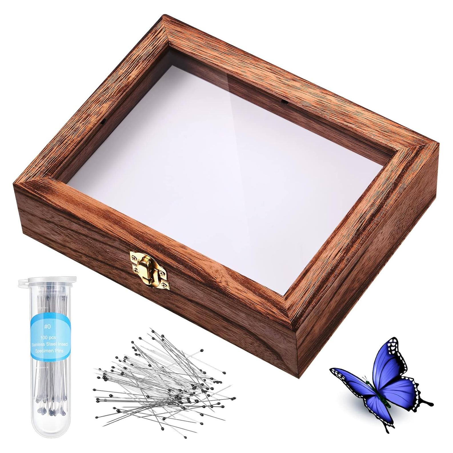 Caja de Exhibición de Insectos WILLBOND con Tapa Transparente