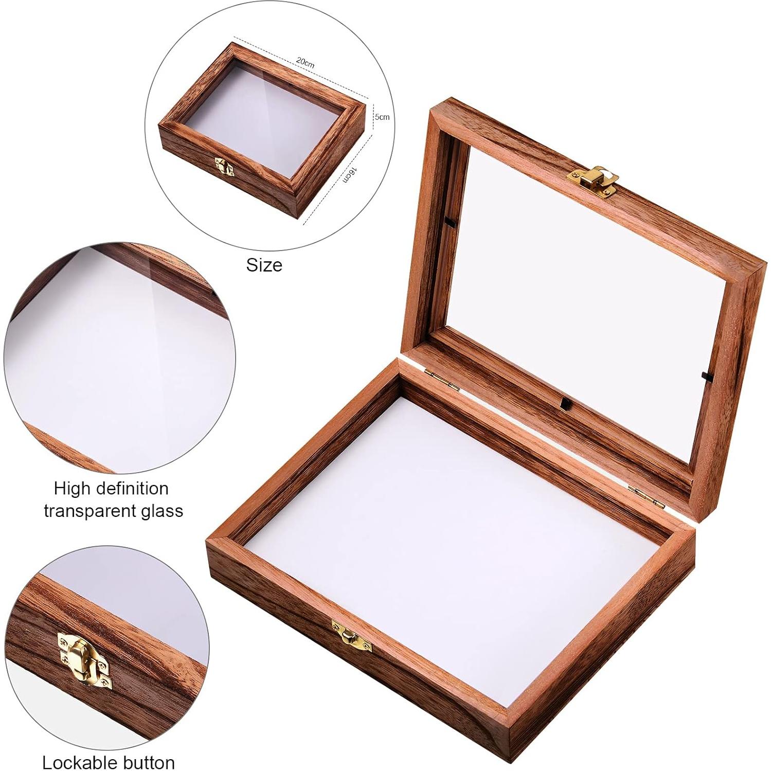 Caja de Exhibición de Insectos WILLBOND con Tapa Transparente