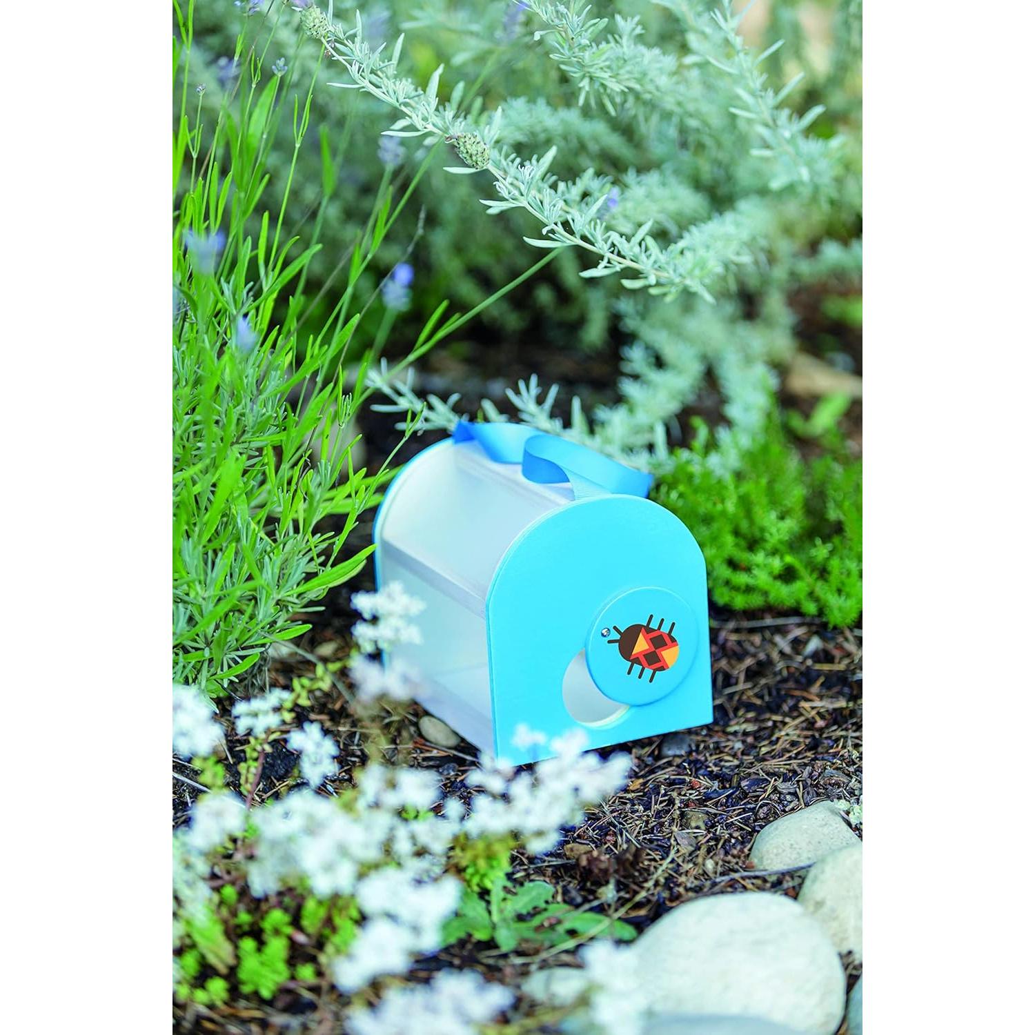 Caja de Criaturas de Madera Toysmith 15.88 cm Azul