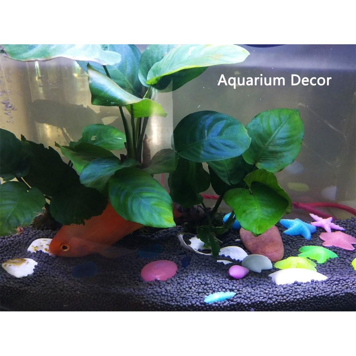 Rocas Brillantes para Acuario ATZ TECH - 70 Piezas Ecológicas