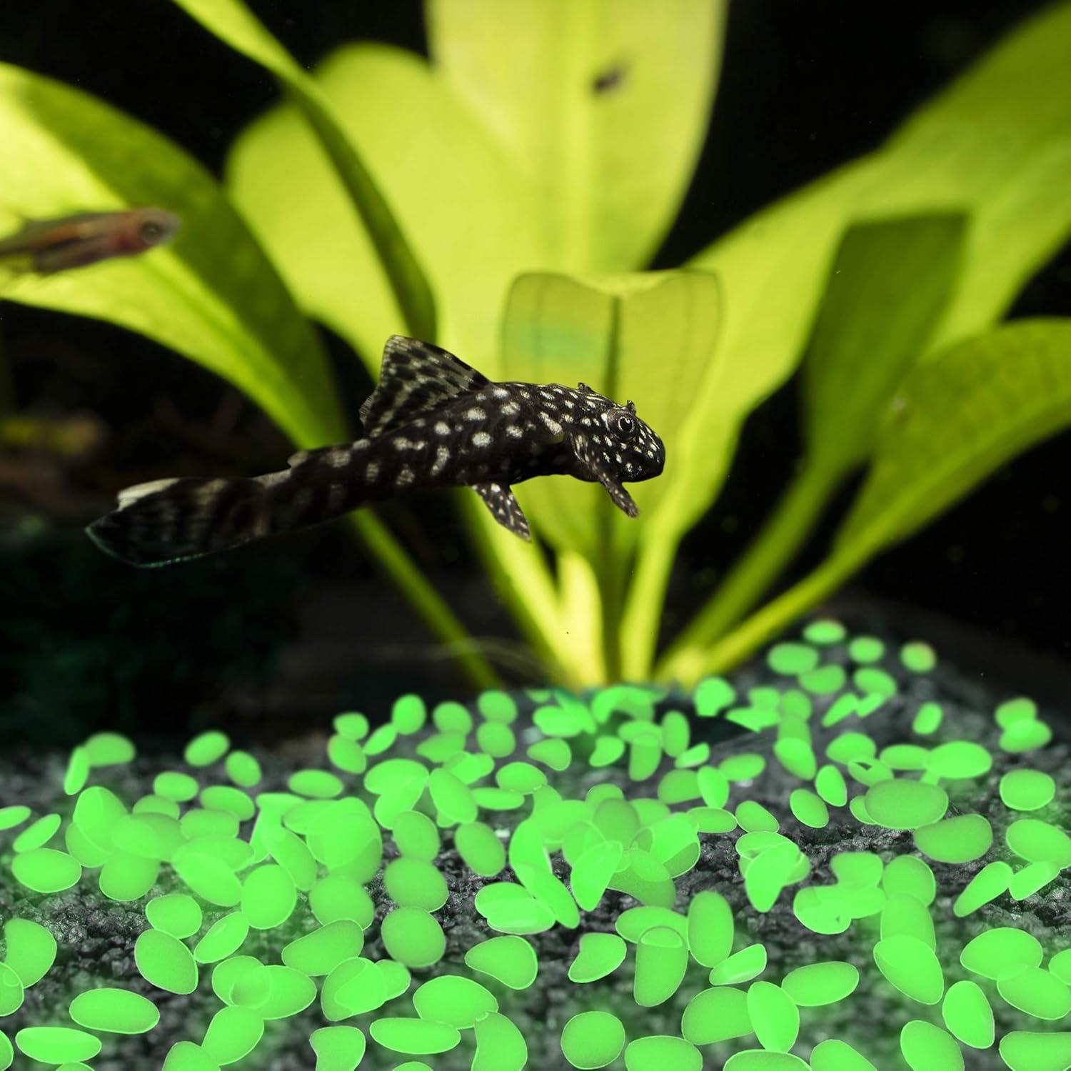 Piedras de Jardín Brillantes en la Oscuridad Pure Garden 200 Unidades