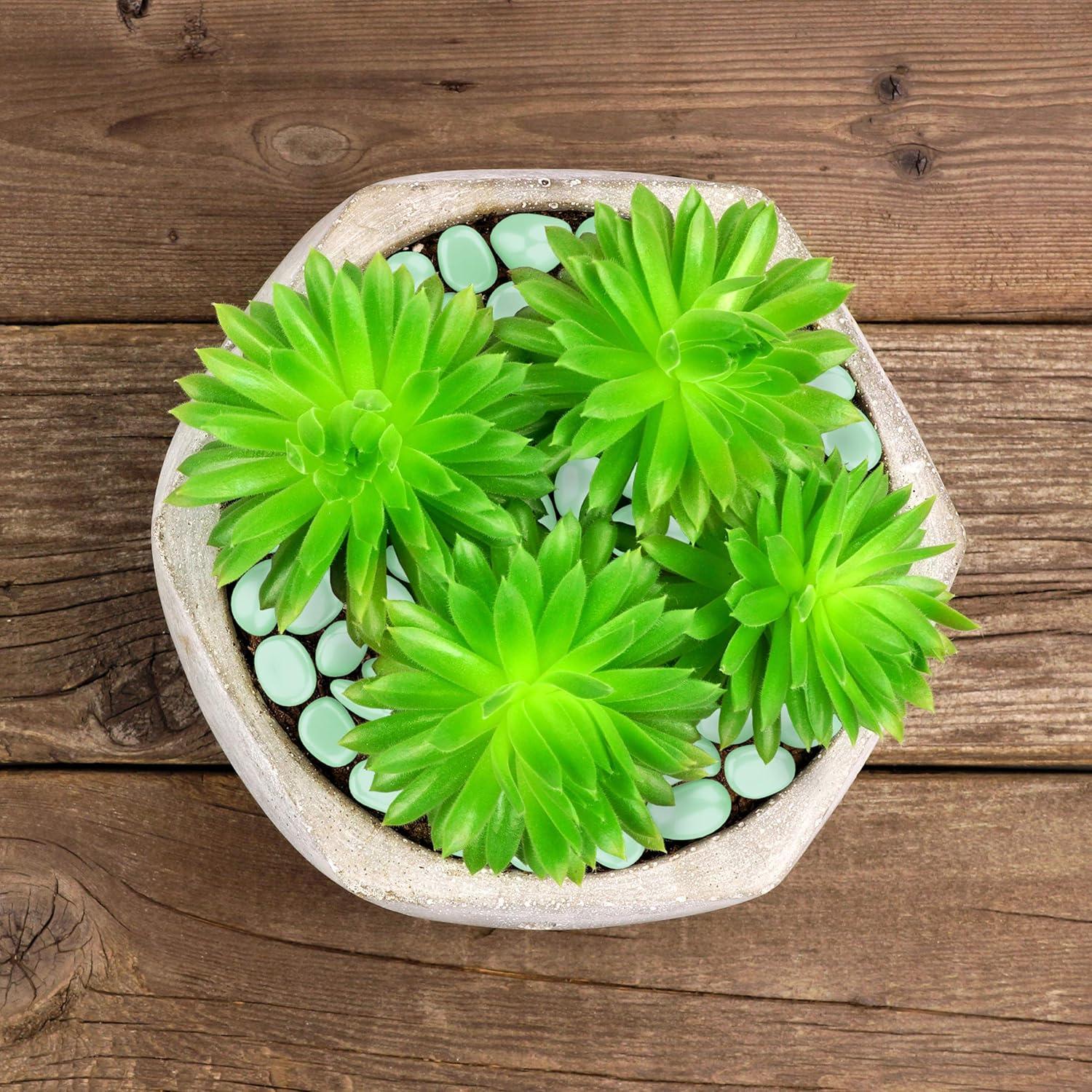 Piedras de Jardín Brillantes en la Oscuridad Pure Garden 200 Unidades