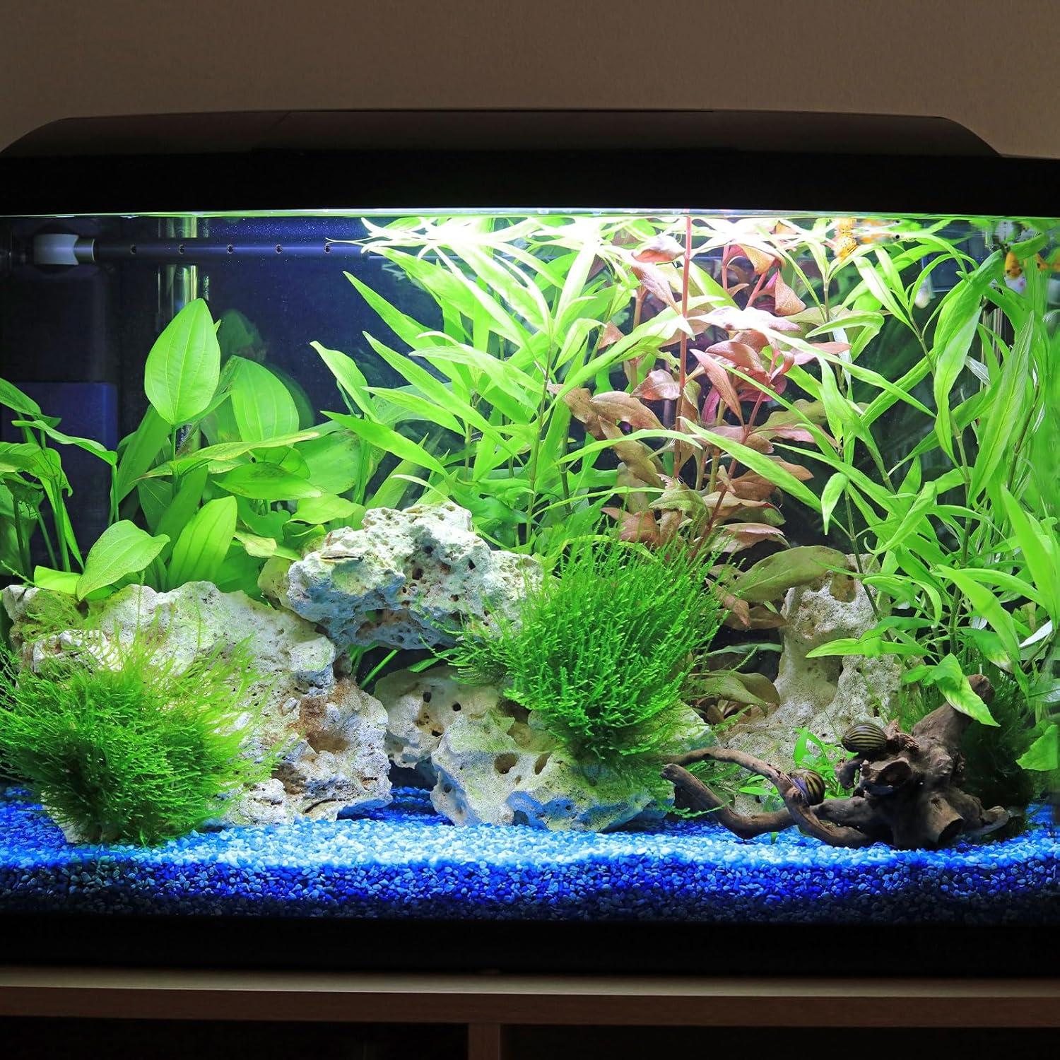 Rocas Brillantes Luminiscentes YOKIVE 300 Pcs Rosa 13-17 mm