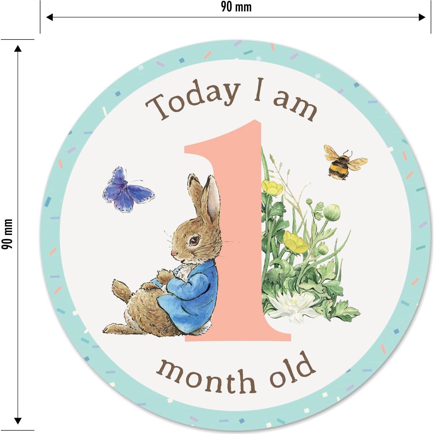 Pegatinas de Hitos para Bebés Peter Rabbit - 24 Unidades