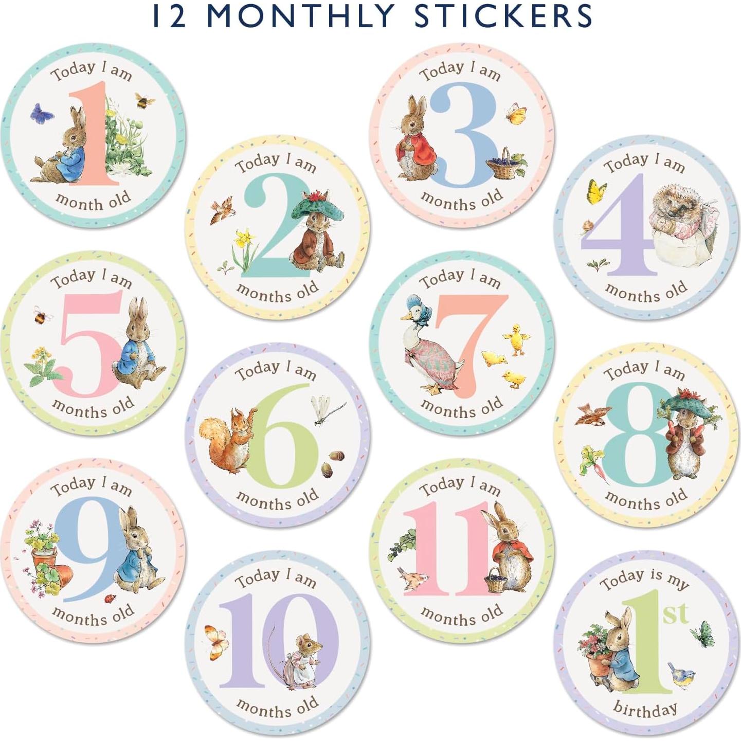 Pegatinas de Hitos para Bebés Peter Rabbit - 24 Unidades