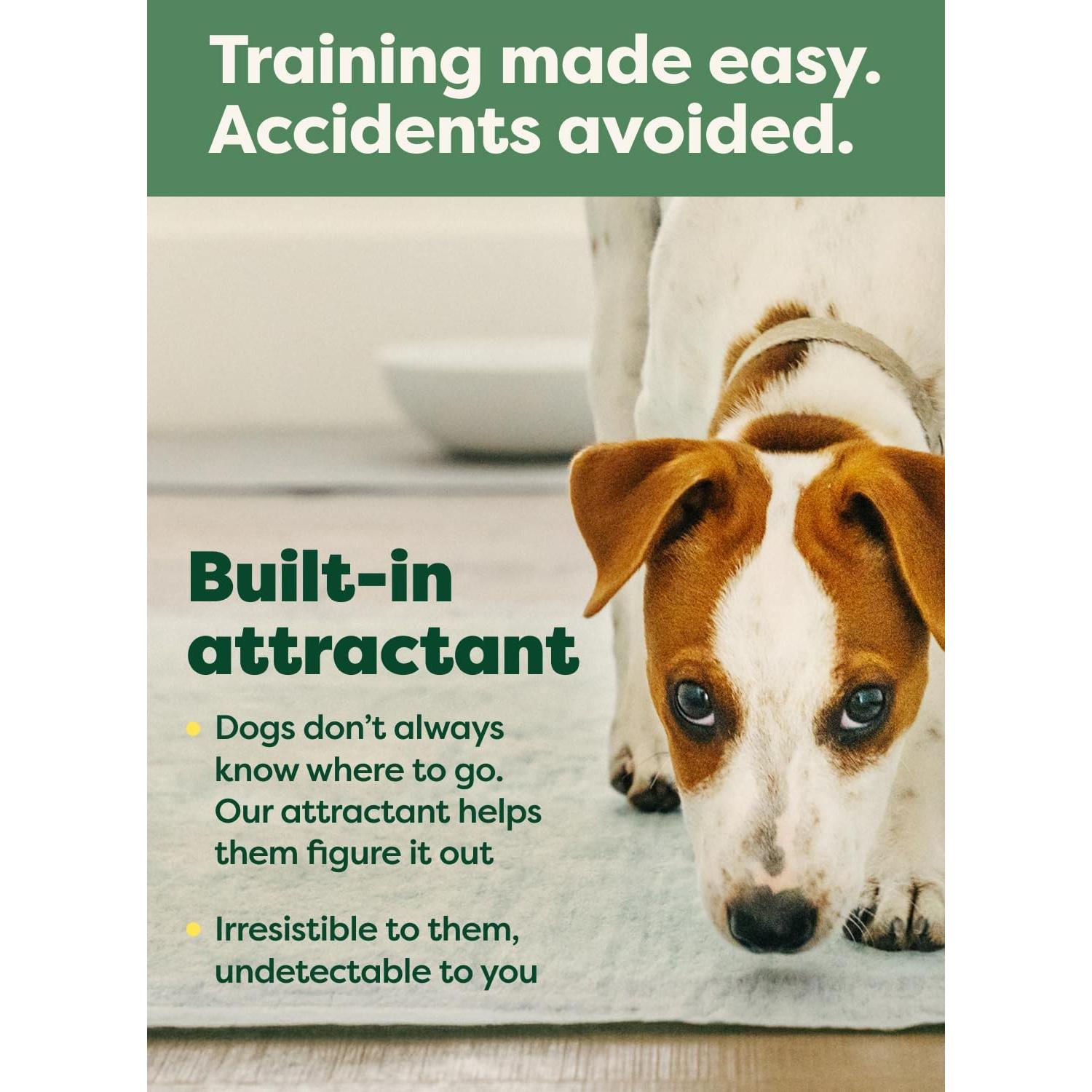 Earth Rated Max Absorbency Puppy Pee Pads for Dogs Absorbs 2X Faster & 2X More, Leak-Proof, Odor Control Potty Training, Unscented, Large, 22” x 23”, 40 Count