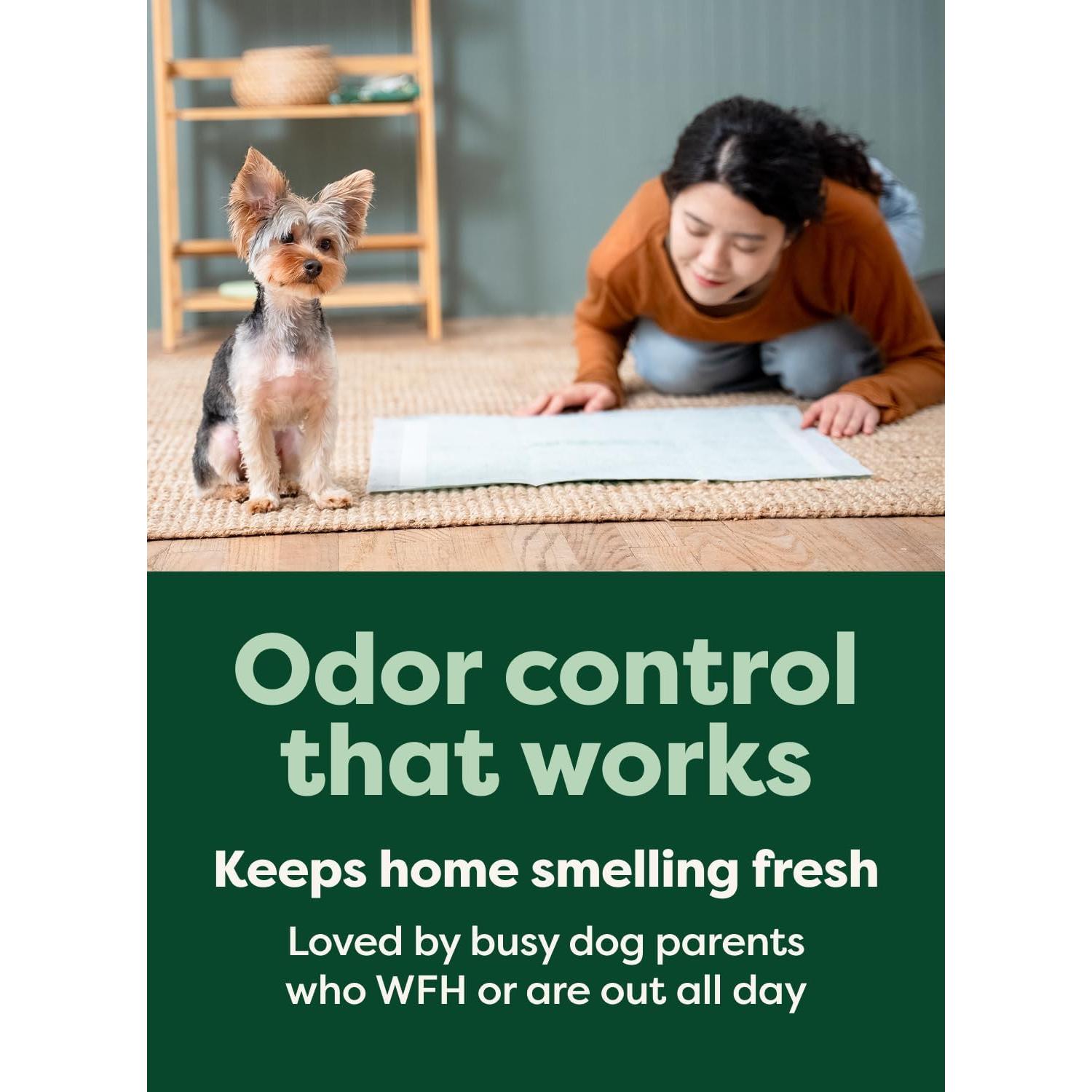 Earth Rated Max Absorbency Puppy Pee Pads for Dogs Absorbs 2X Faster & 2X More, Leak-Proof, Odor Control Potty Training, Unscented, Large, 22” x 23”, 40 Count