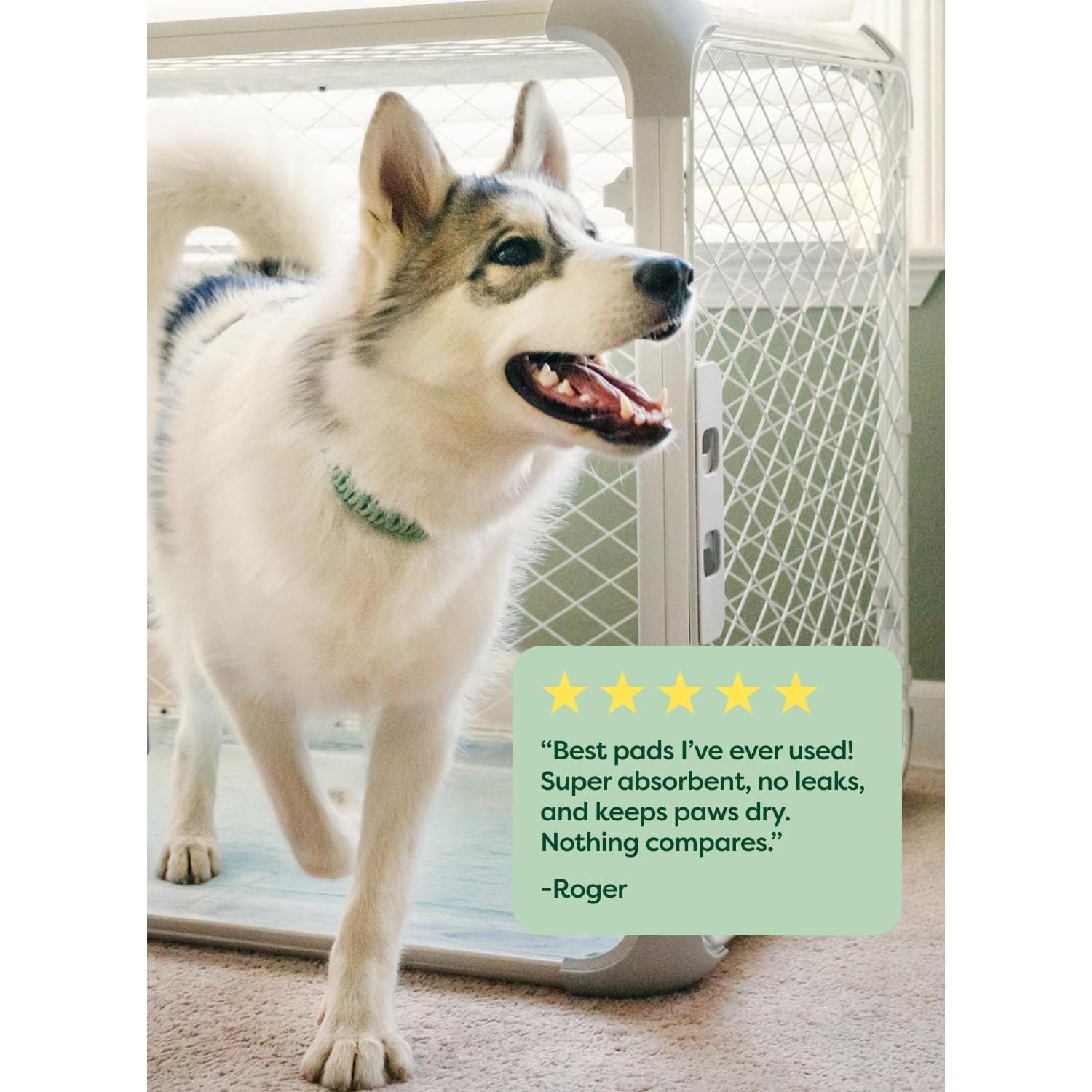 Earth Rated Max Absorbency Puppy Pee Pads for Dogs Absorbs 2X Faster & 2X More, Leak-Proof, Odor Control Potty Training, Unscented, Large, 22” x 23”, 40 Count