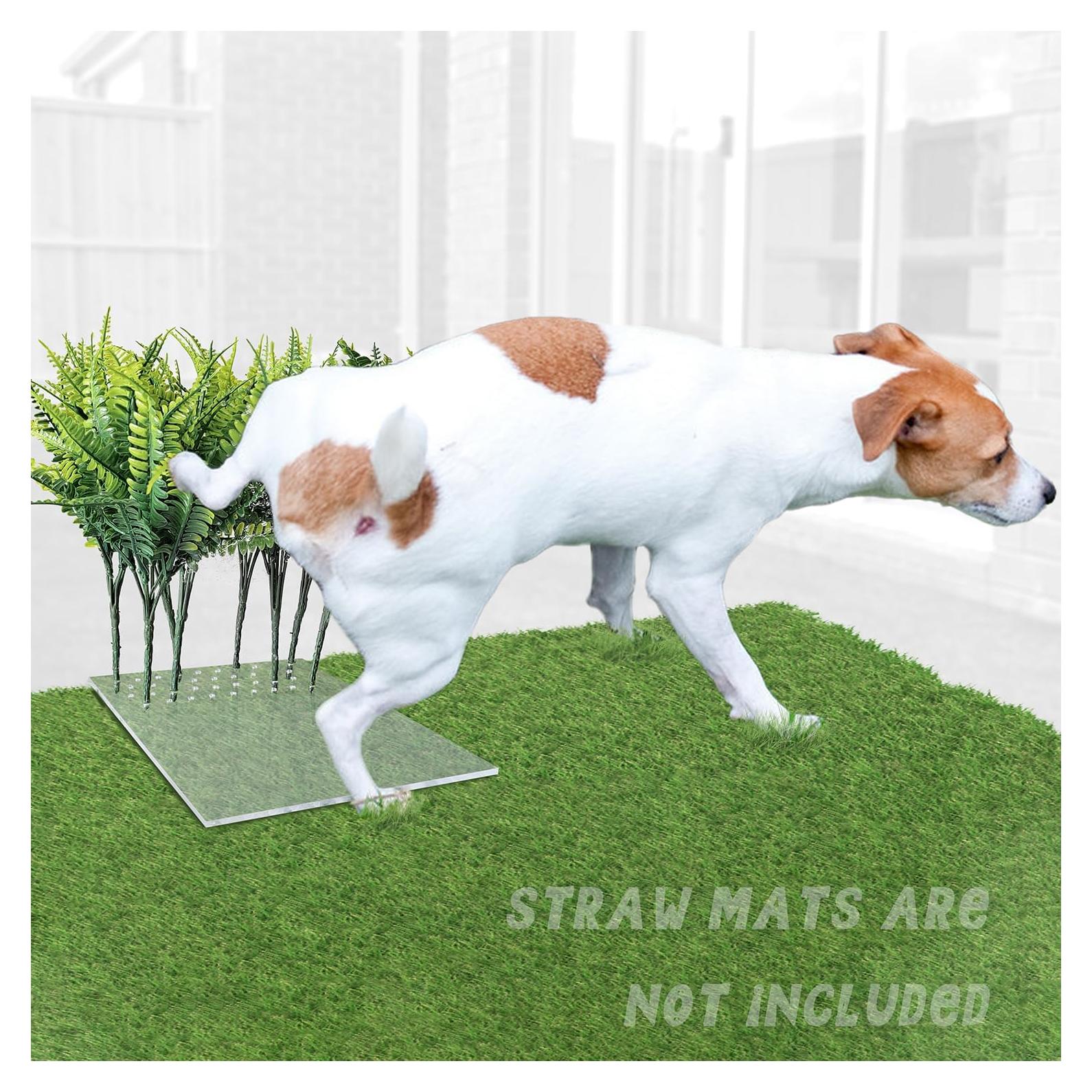 8 Piezas de Césped Falso para Entrenamiento de Perros Sysmashing