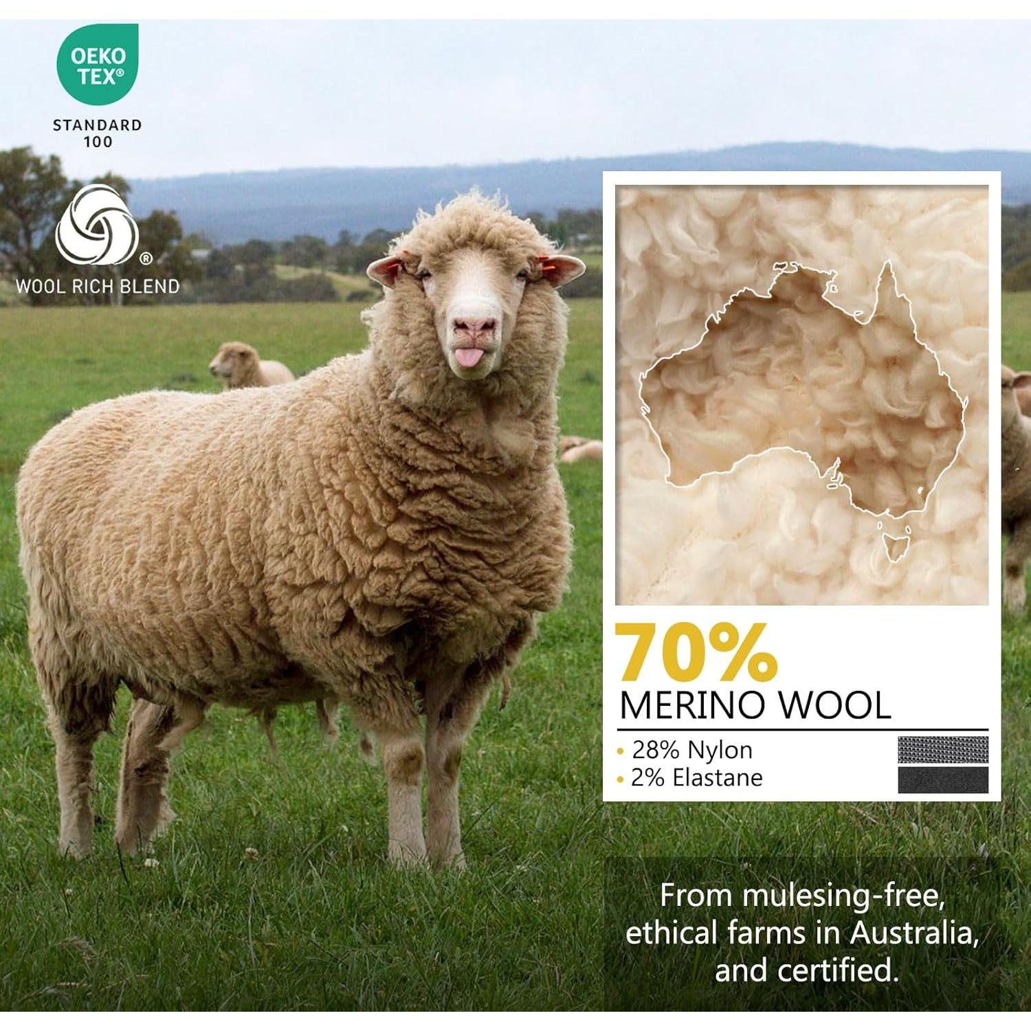 Calcetines de Lana Merino Ligeros para Senderismo - Paquete de 4