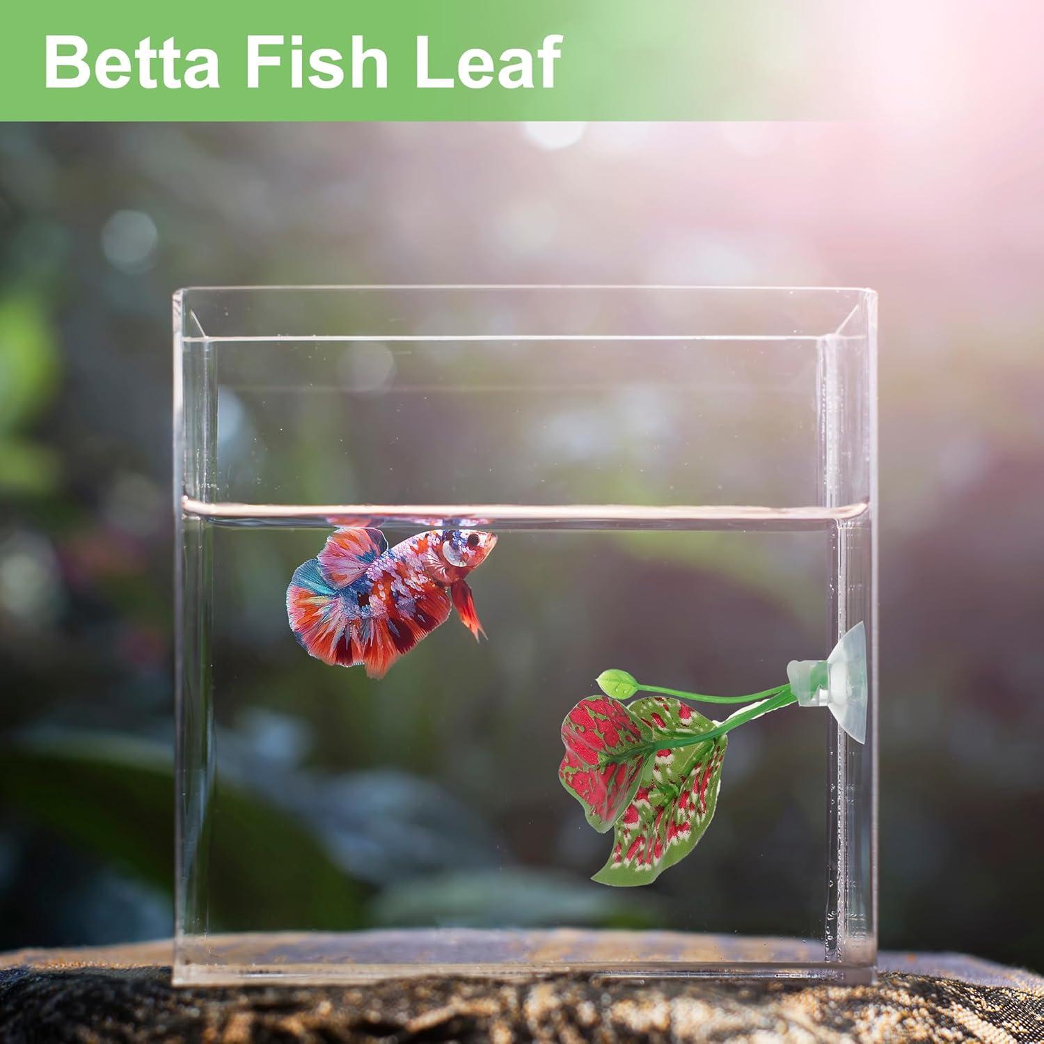 Almohadilla de Hoja para Pez Betta CAPASTEC - Natural 14x10 cm