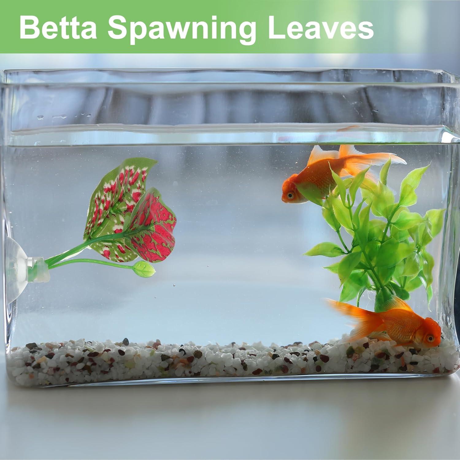 Almohadilla de Hoja para Pez Betta CAPASTEC - Natural 14x10 cm