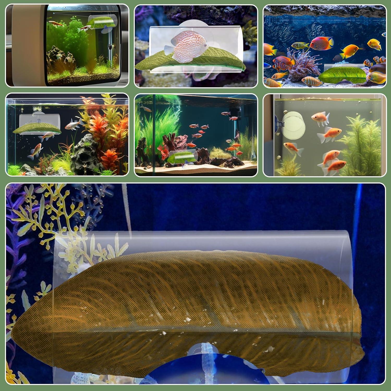 Túnel Acrílico para Peces Betta con Hojas Verdes - 8x5x4cm