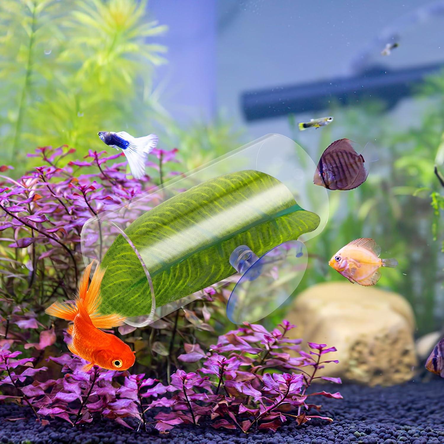 Túnel Acrílico para Peces Betta con Hojas Verdes - 8x5x4cm