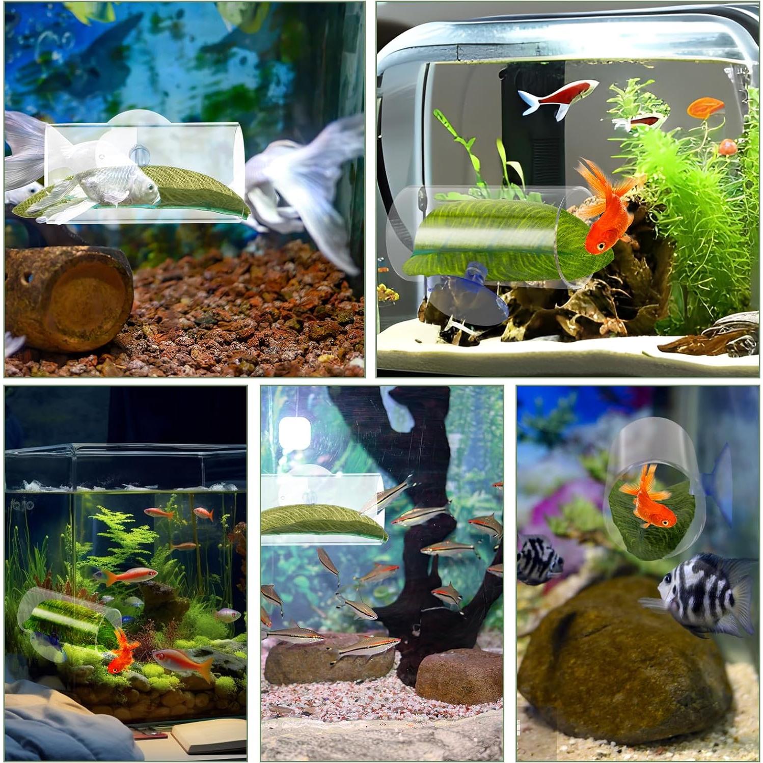 Túnel Acrílico para Peces Betta con Hojas Verdes - 8x5x4cm