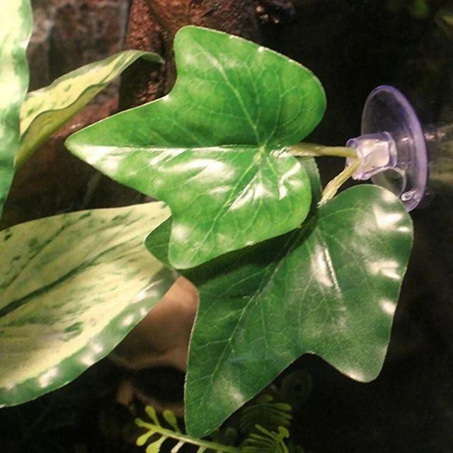 2 Almohadillas de Hoja Verde Tangseajiao para Acuario