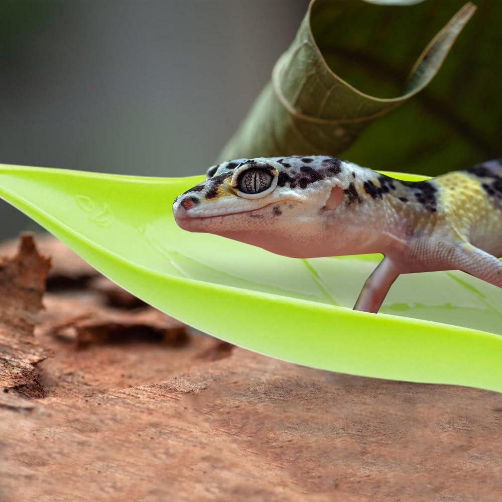 Hamaca de Hoja Betta DONGKER 3 PCS para Acuario Reptiles