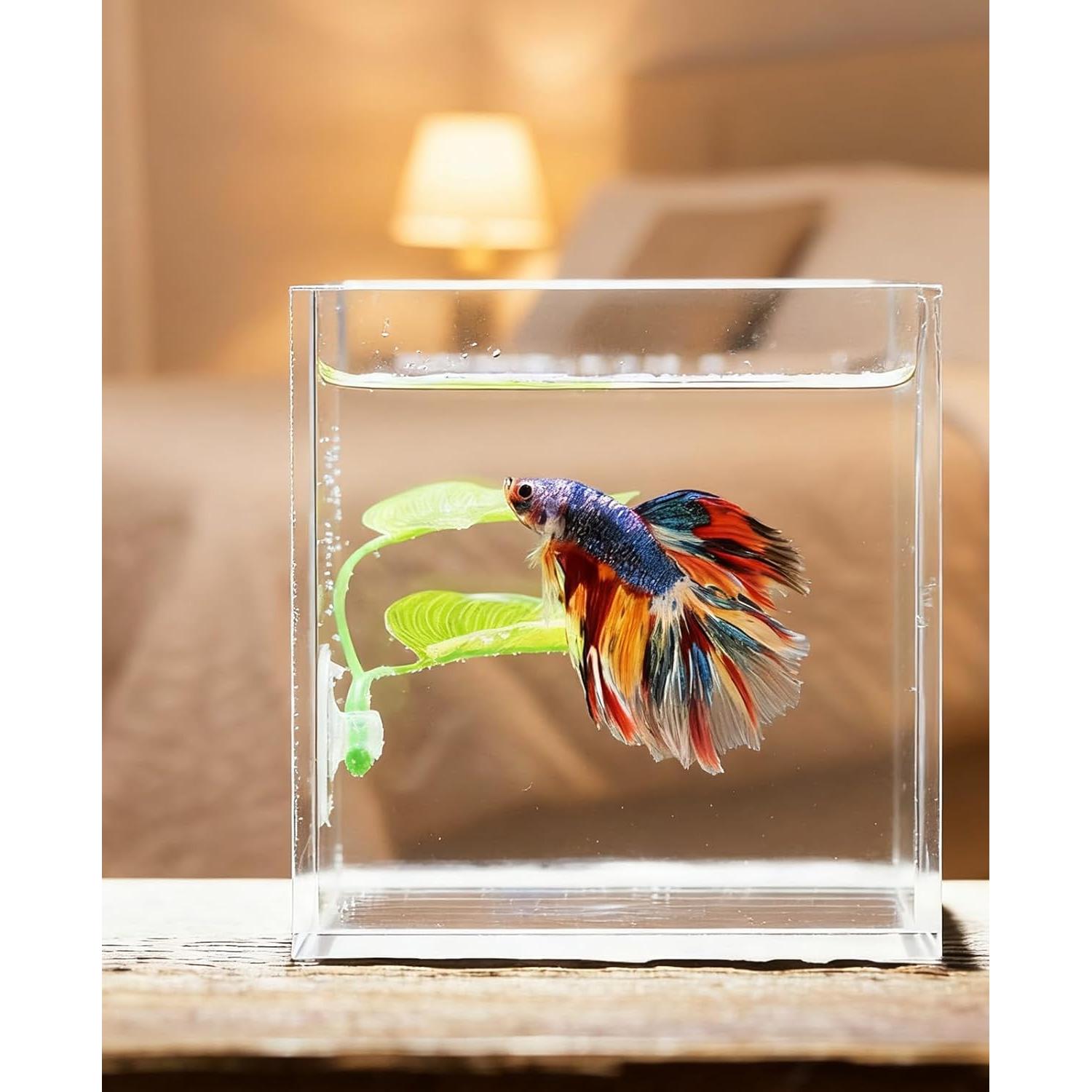 Hamaca de Hoja para Peces Betta Waaqkid 4PCS Accesorios Acuario