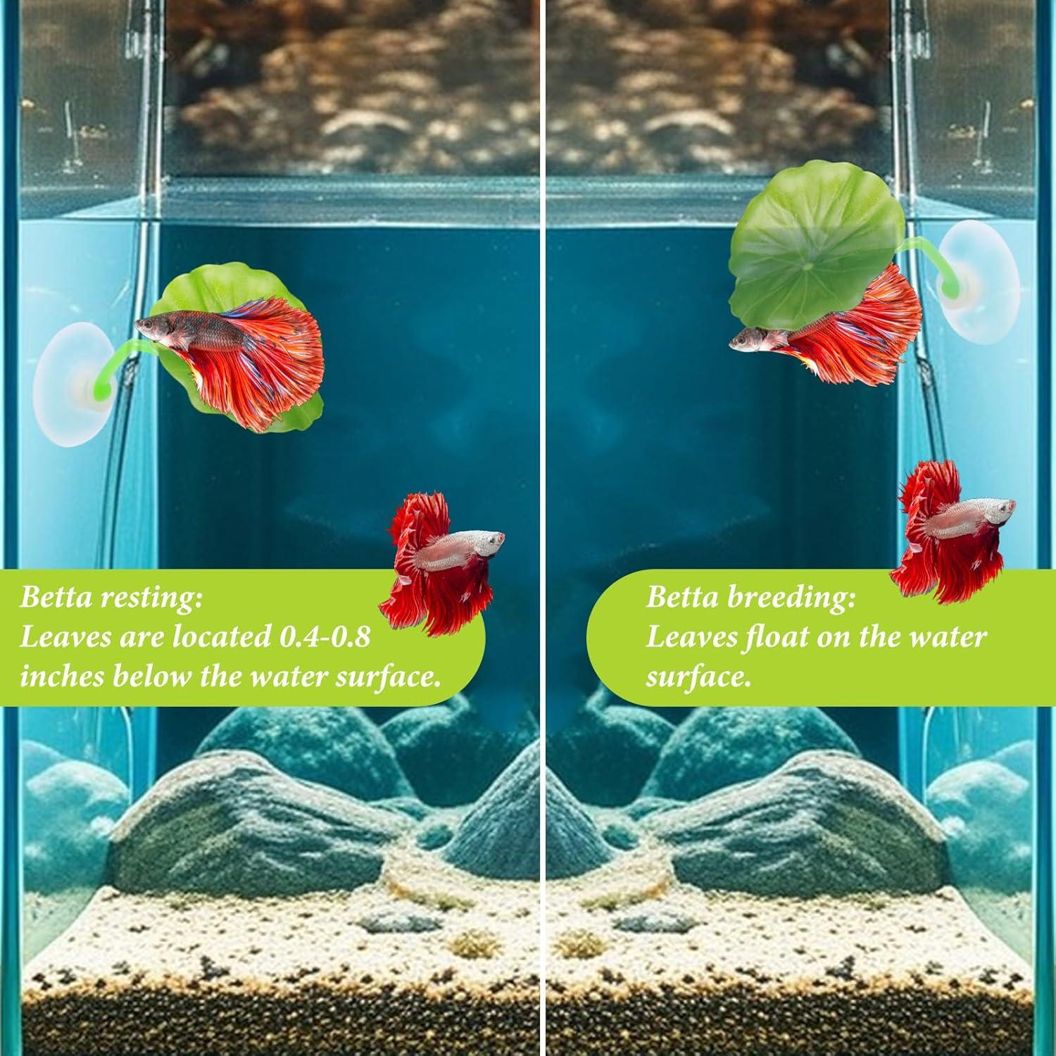 5PCS Hamaca de Hoja para Peces Betta QfwdfcTrenz Verde