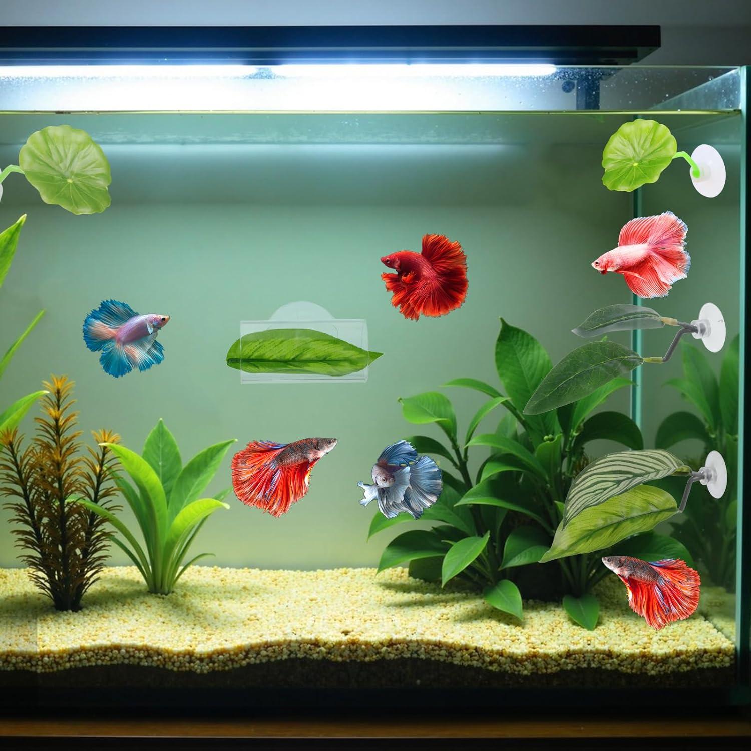 5PCS Hamaca de Hoja para Peces Betta QfwdfcTrenz Verde