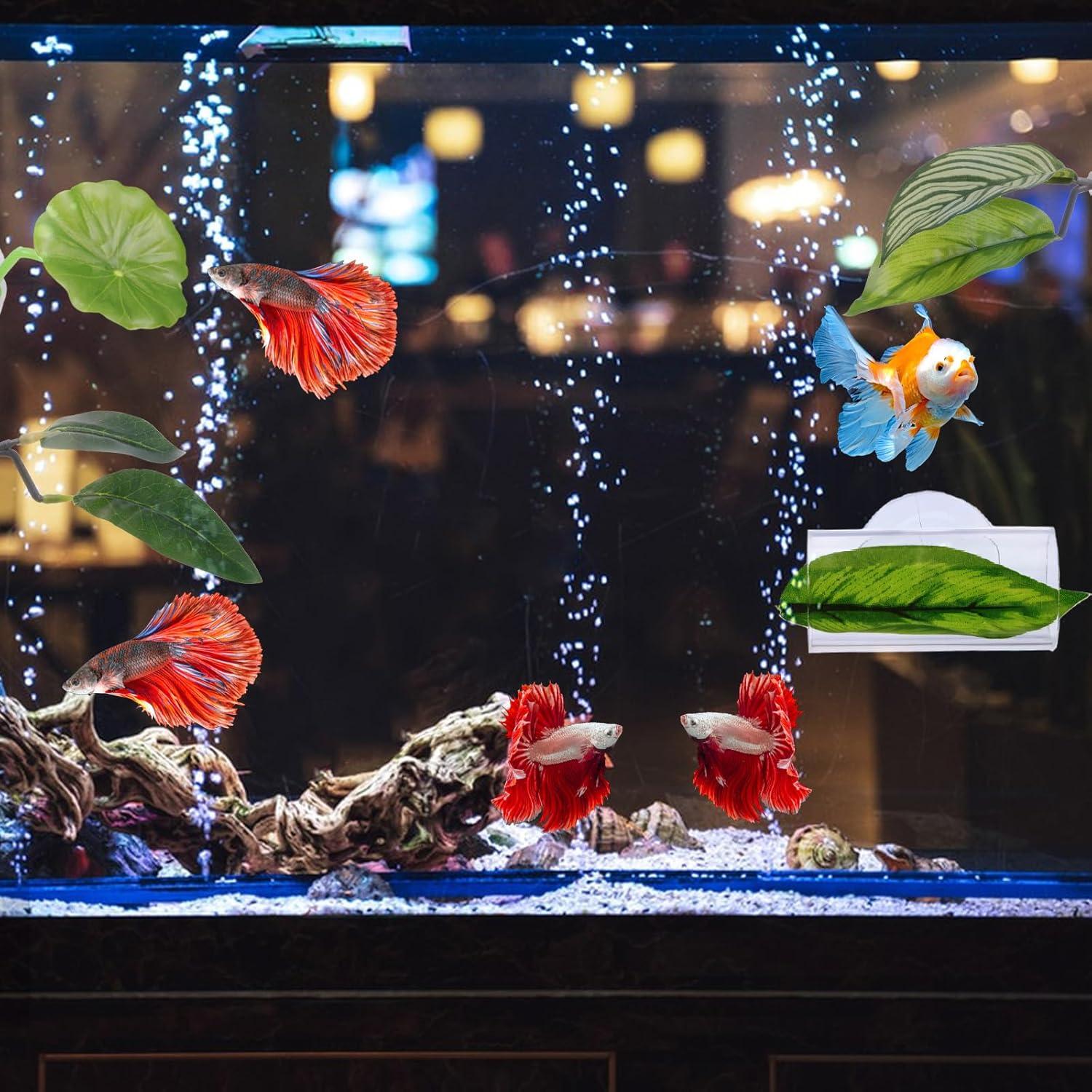 5PCS Hamaca de Hoja para Peces Betta QfwdfcTrenz Verde