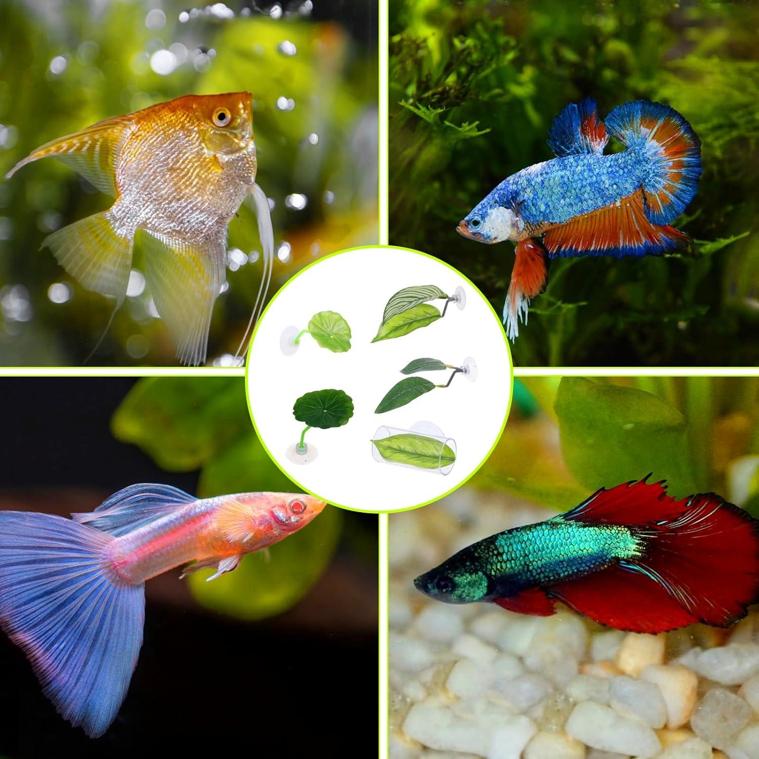 5PCS Hamaca de Hoja para Peces Betta QfwdfcTrenz Verde