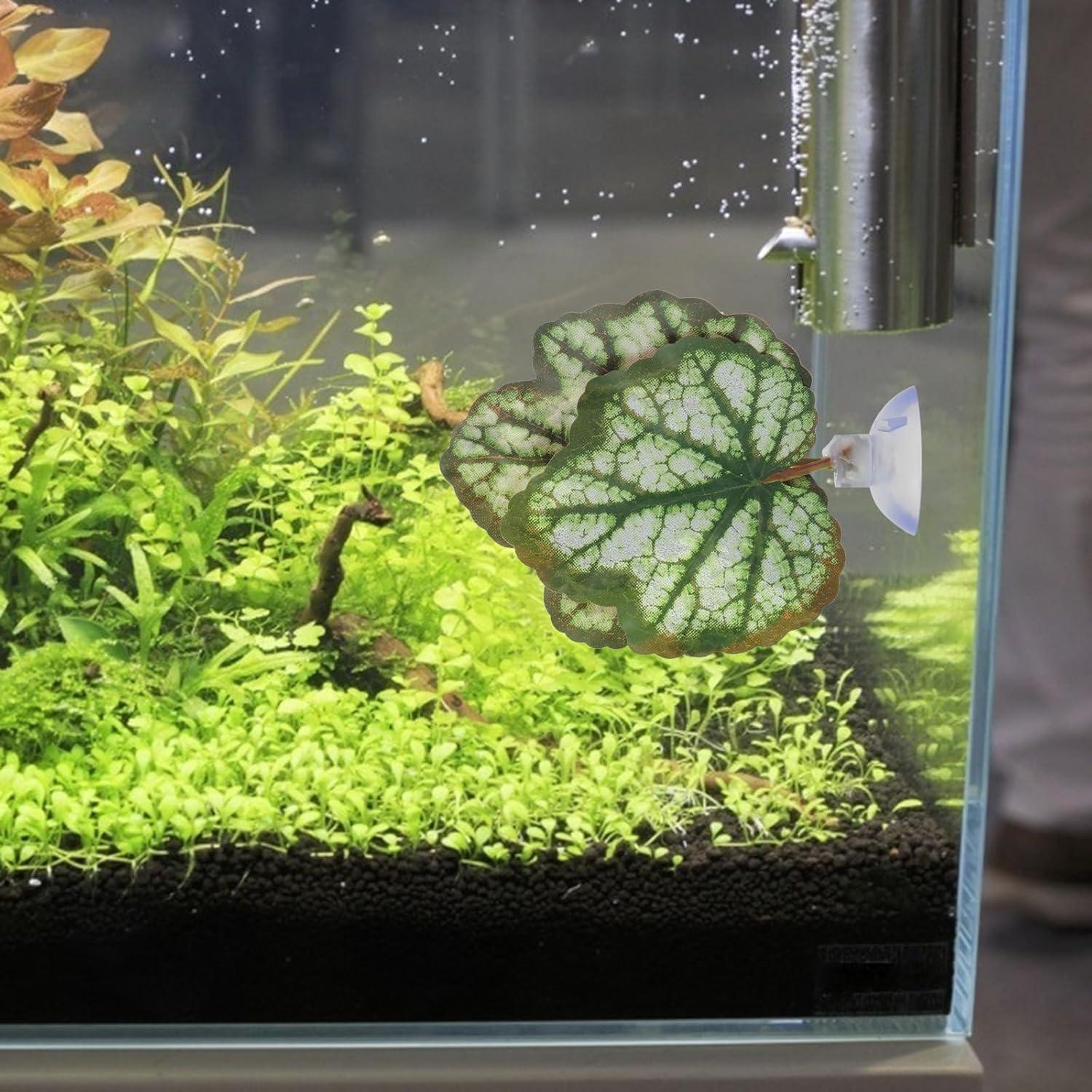 Hamaca de Hoja para Betta Balacoo - Acuario Verde 9x9 cm