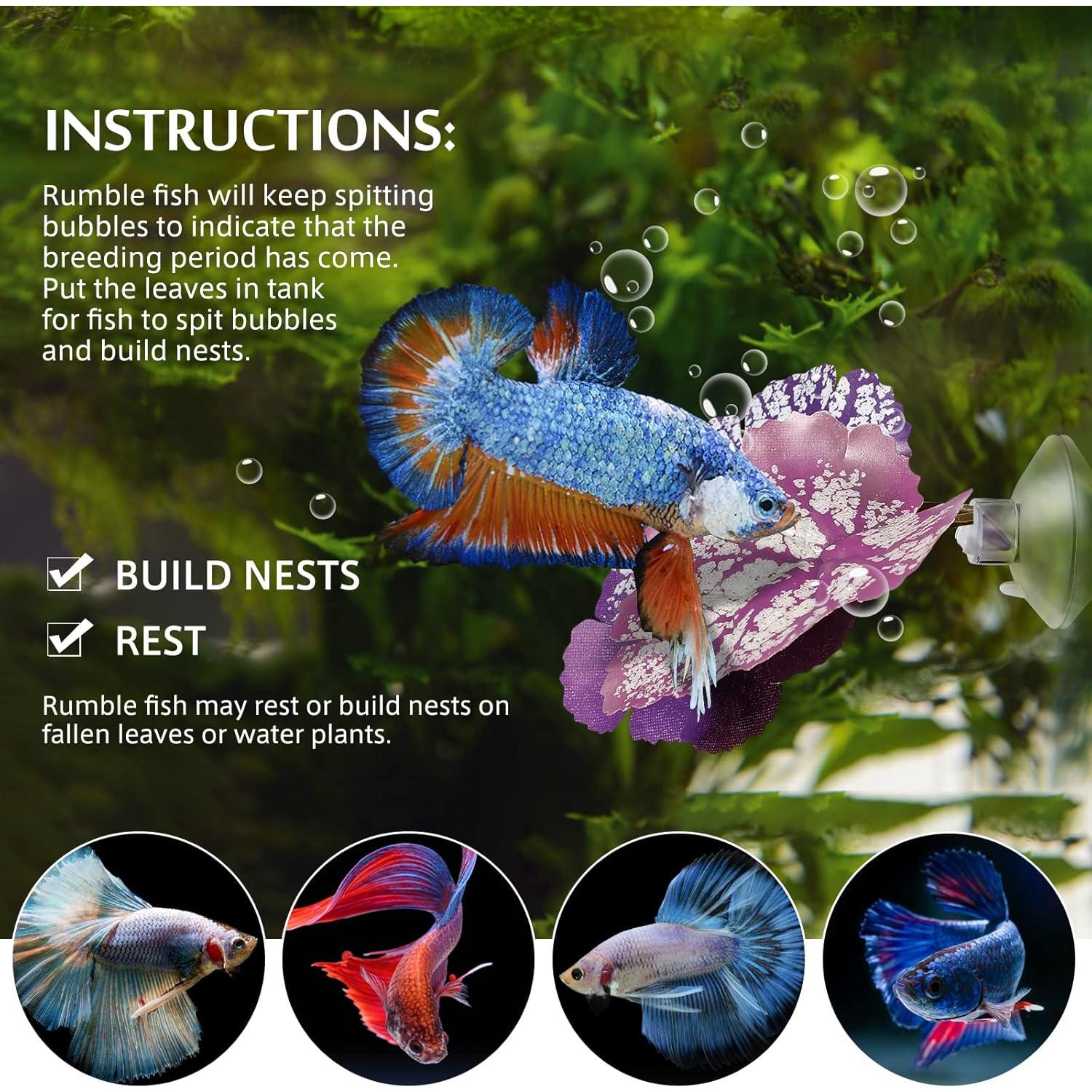 Hamaca de Hoja para Betta Balacoo - Acuario Verde 9x9 cm