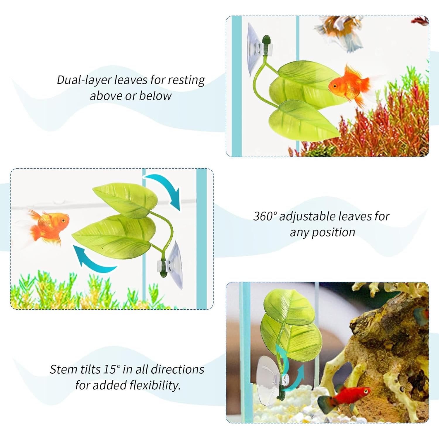 Hamaca para Betta Mzario 3 Piezas con Ventosas y Decoración