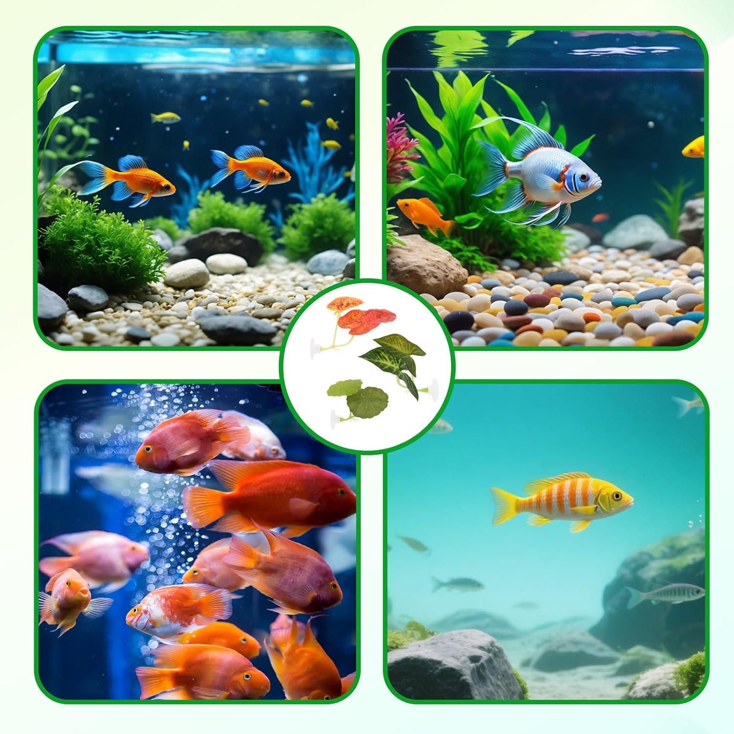 Juego de Hamacas para Bettas Pretwad - 3 PCS Ajustables