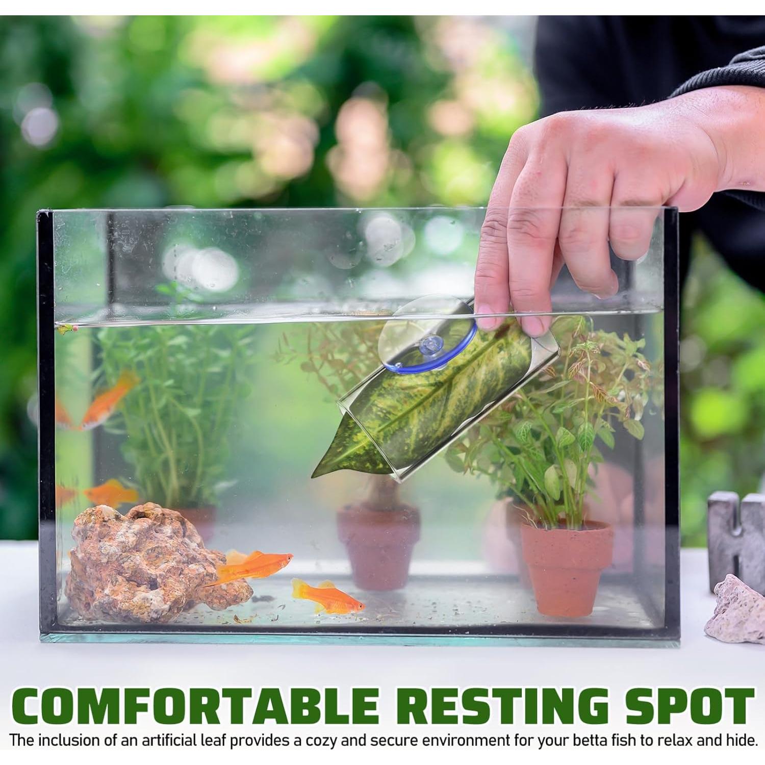 Escondite para Peces Betta Kisangel con Hoja y Ventosa 8x4cm