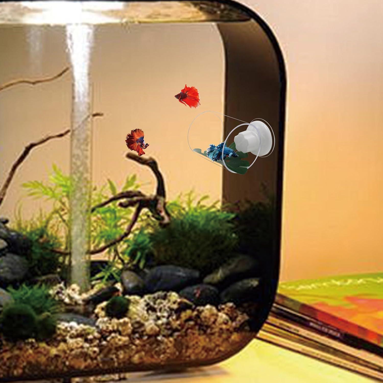 Juego de 2 Túneles Acrílicos para Peces Betta SnowTing