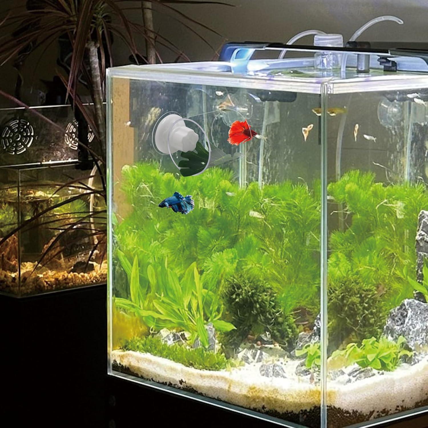 Juego de 2 Túneles Acrílicos para Peces Betta SnowTing