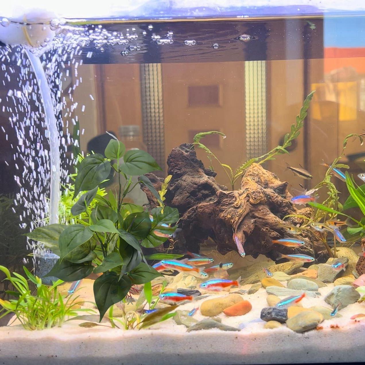 Planta Artificial para Acuarios M2cbridge 30.48cm Verde