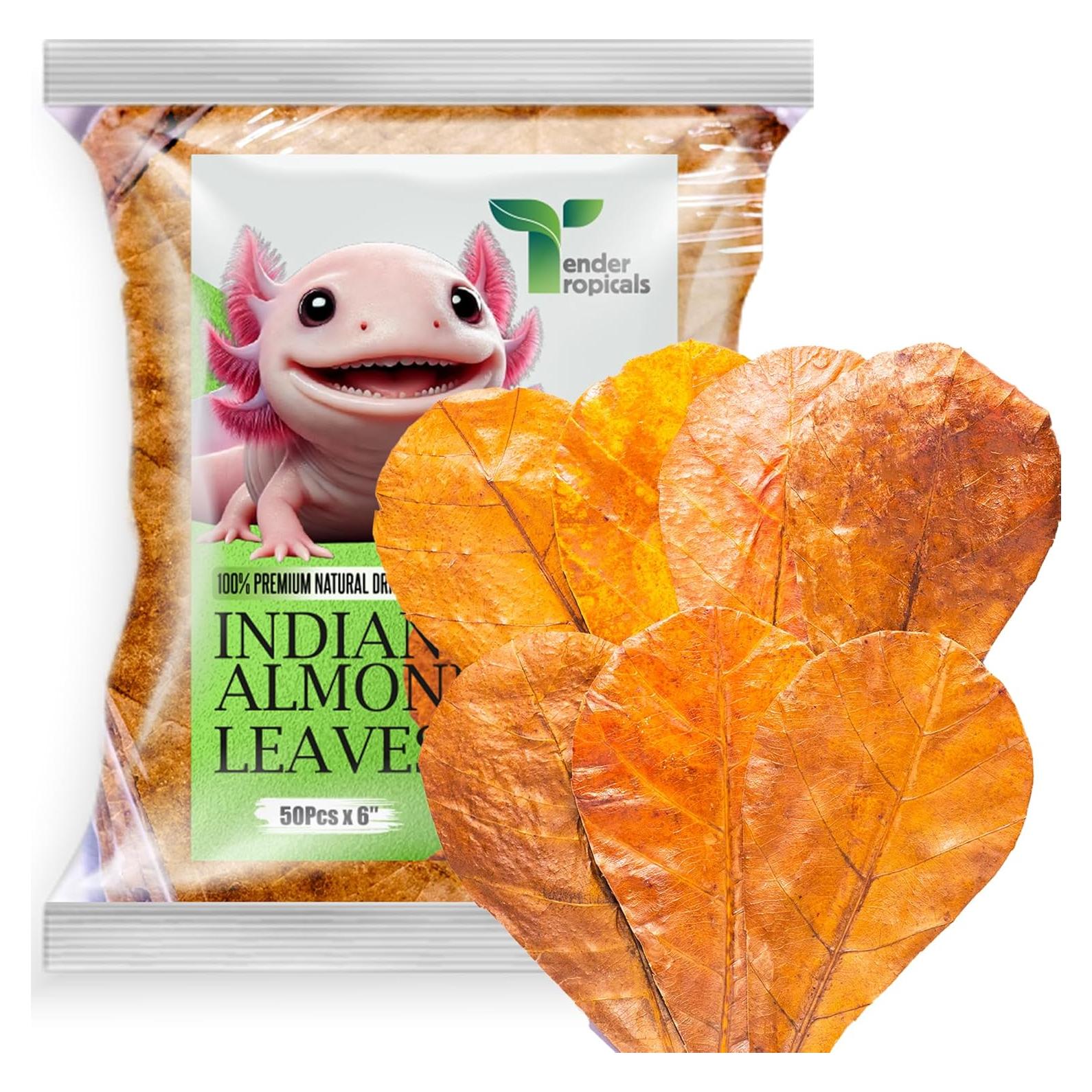 50 Hojas de Almendra India Tender Tropicals 15.24 cm Acuario