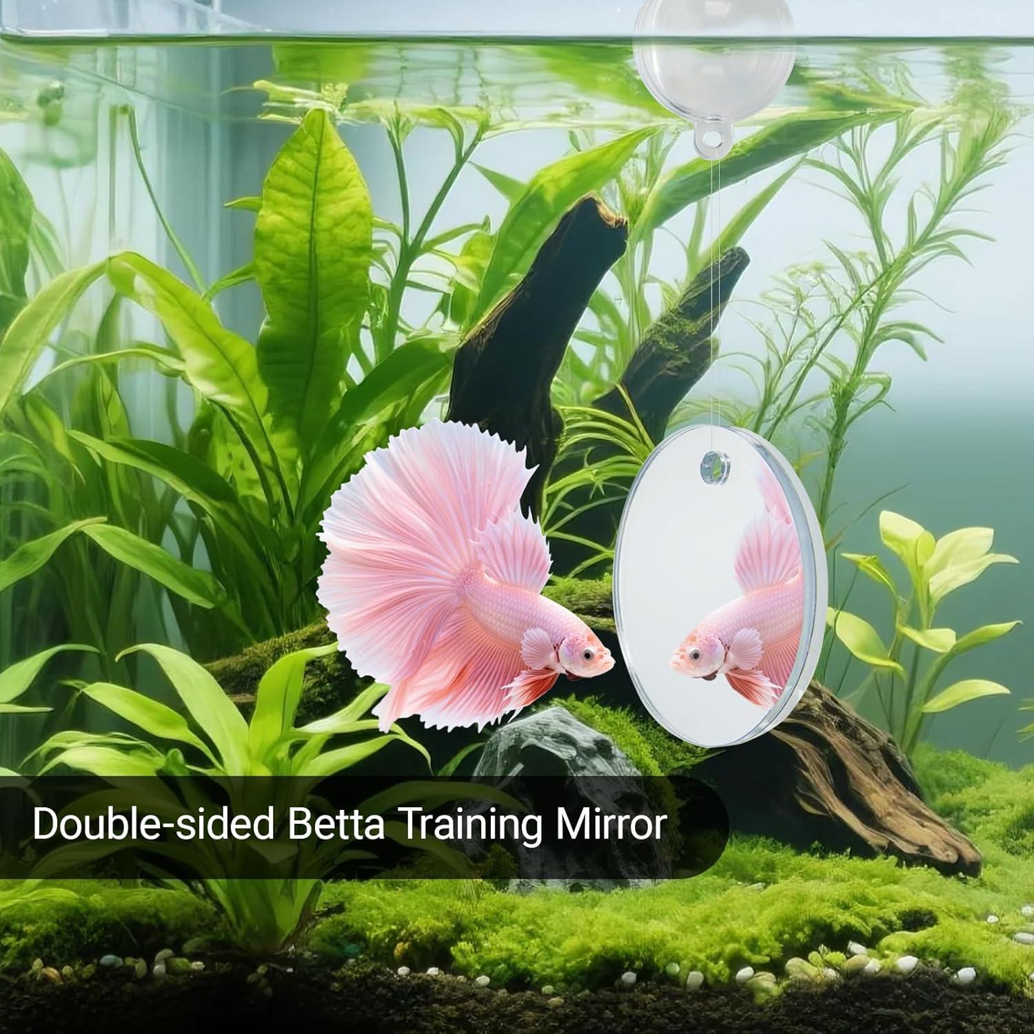 Kit de Enriquecimiento para Peces Betta NORXUAZE - Espejo, Anillos y Hoja