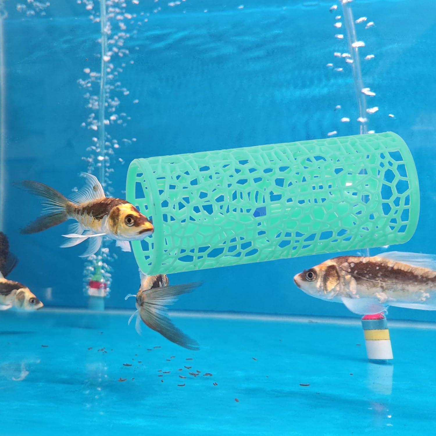 Hamaca para Peces Betta Alrhso 10x4cm Verde con Ventosas