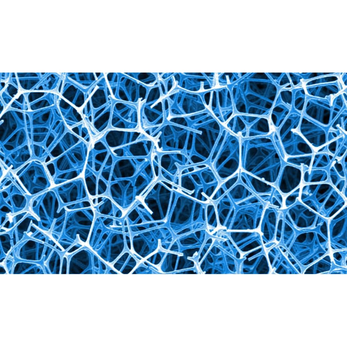 Pad de Algas Seachem para Acuarios 15mm Doble Superficie